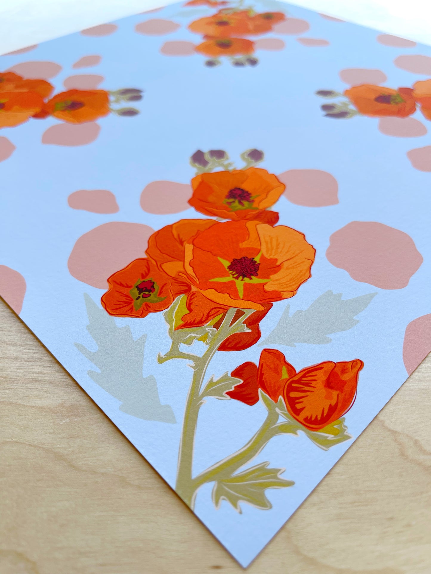 CD. Print of my Apricot Globe Mallow design 12” x 12”