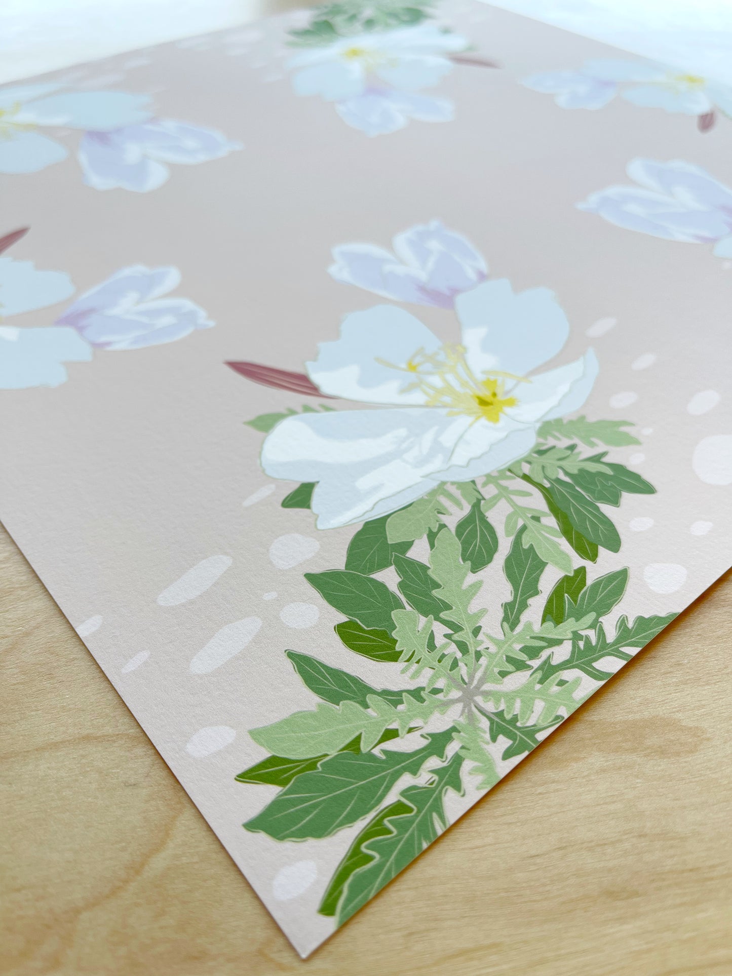 BA. Print of my Desert Primrose design 12” x 12”