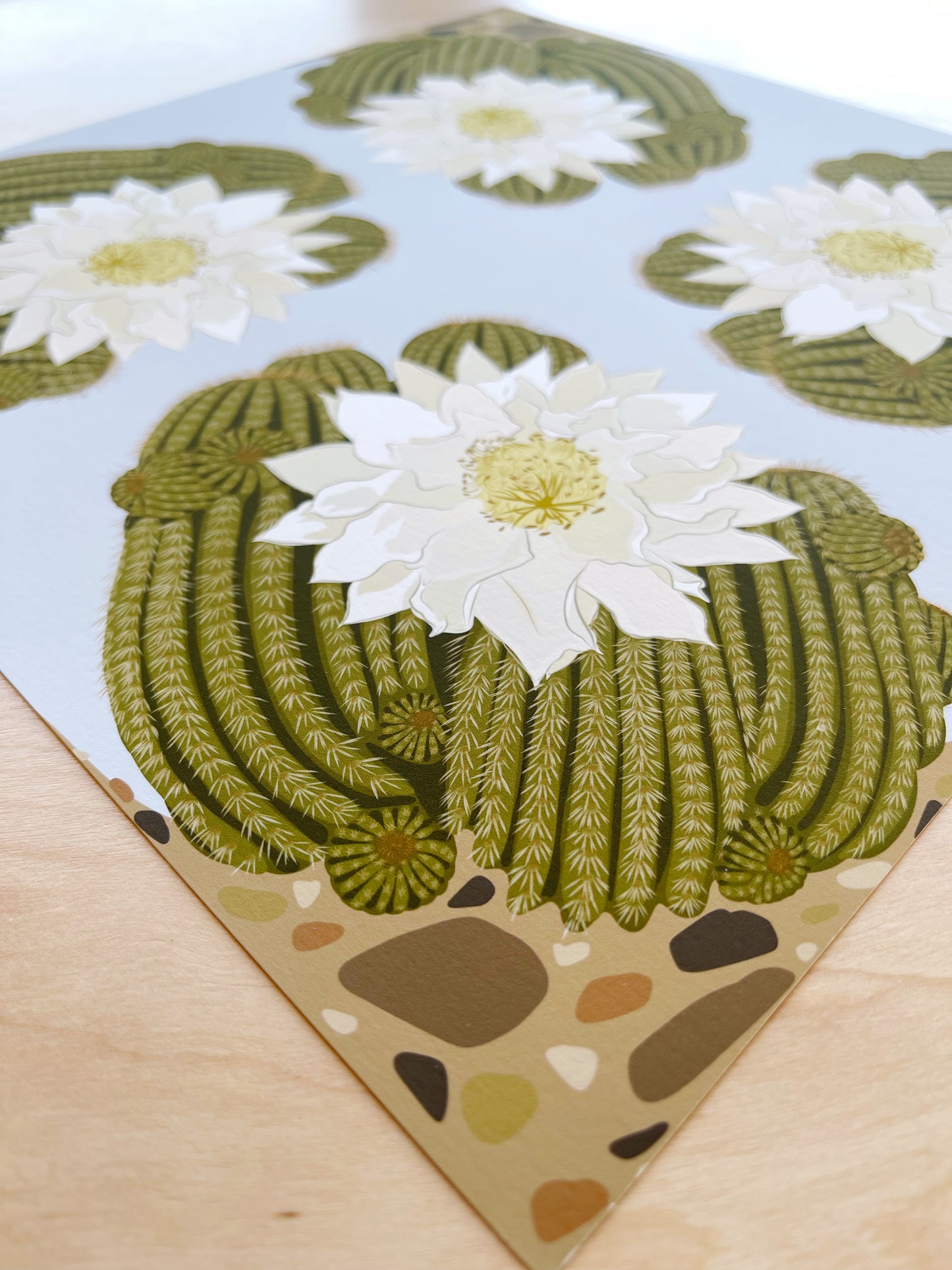 BB. Print of my Ivory Blooming Cactus design 12” x 12”