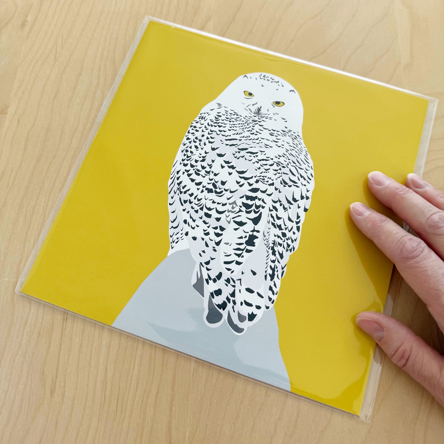 DC. Snowy Owl drawing 8” square Print on a yellow background