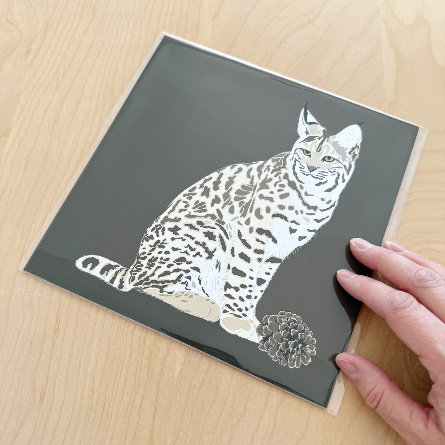 DD. Bob Cat drawing 8” square Print on a brown background