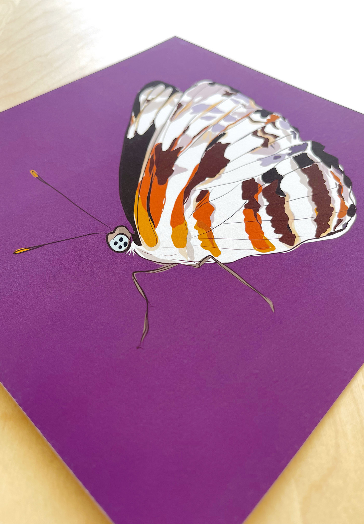 AE. Lavender, Red & Amber Butterfly Print