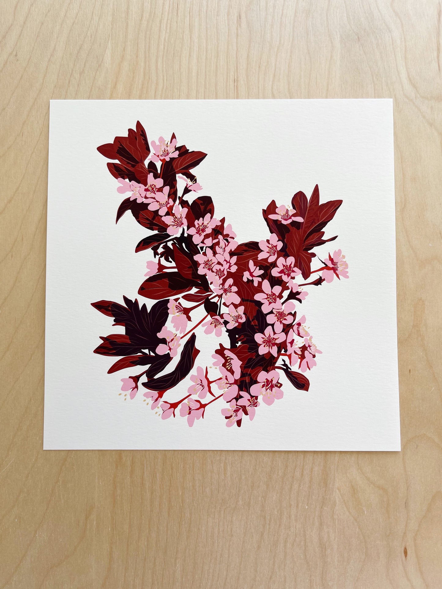 L. Print of my Plum Blossoms drawing 8” square