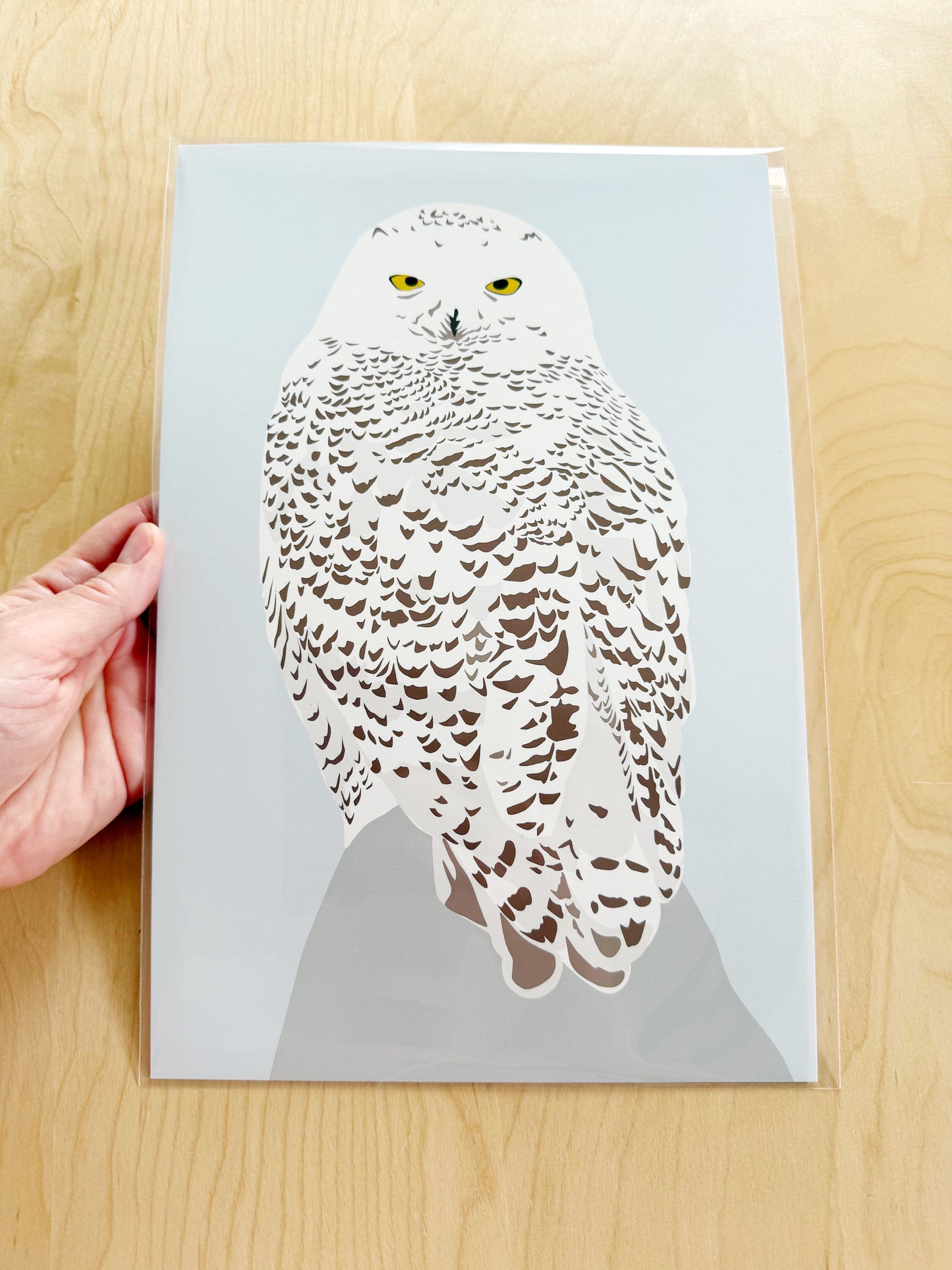 DC. Snowy Owl drawing 8 x 12” Print on a winter blue background