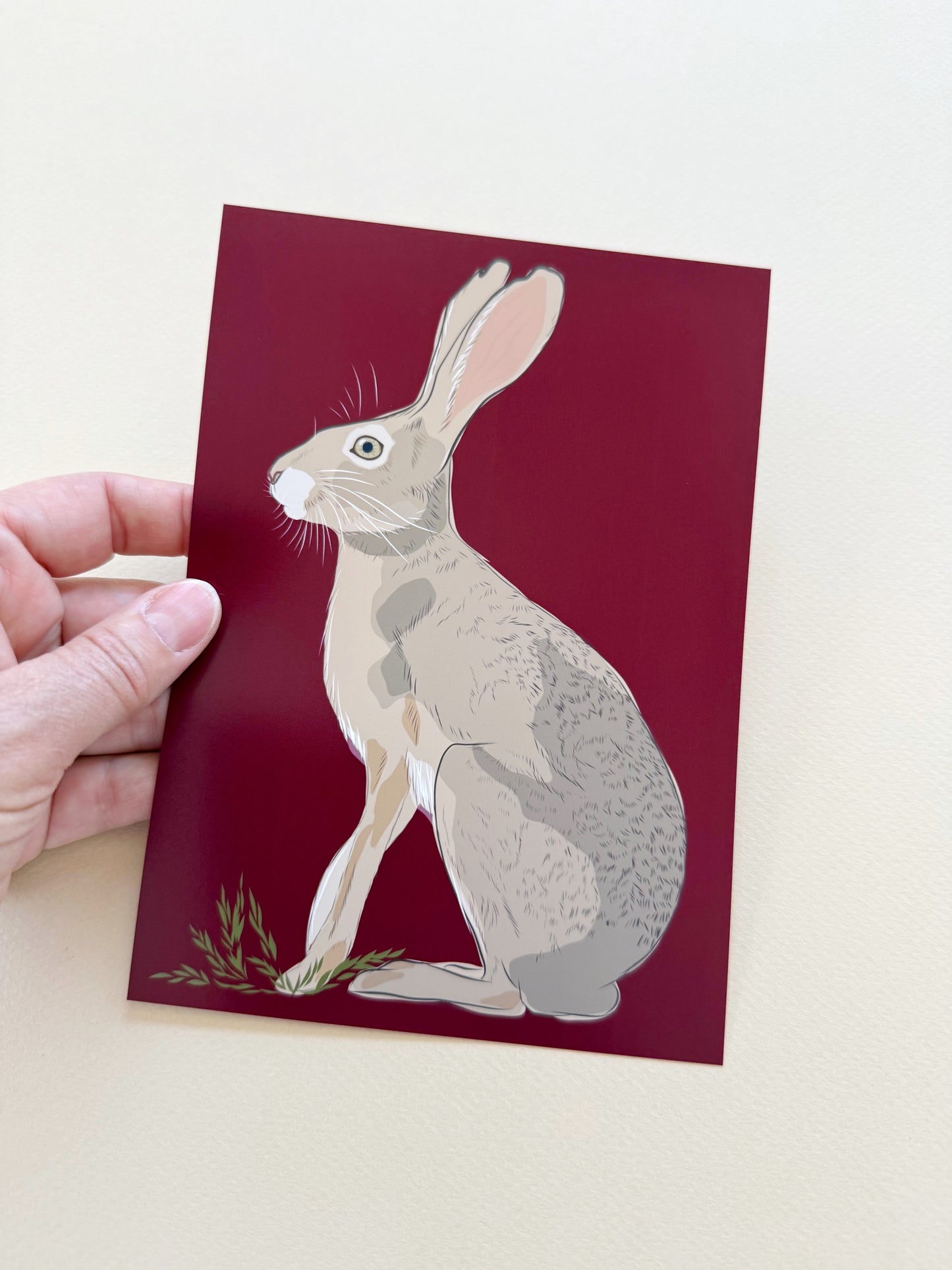 AE. Print of my Jackrabbit drawing Beetroot background