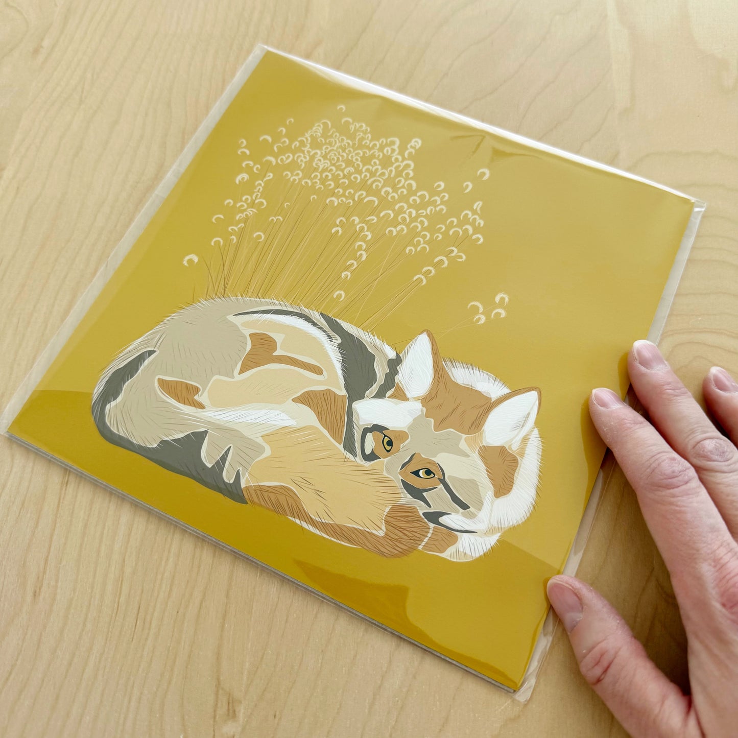 AC. Print of my Coyote drawing 8” square on a yellow background