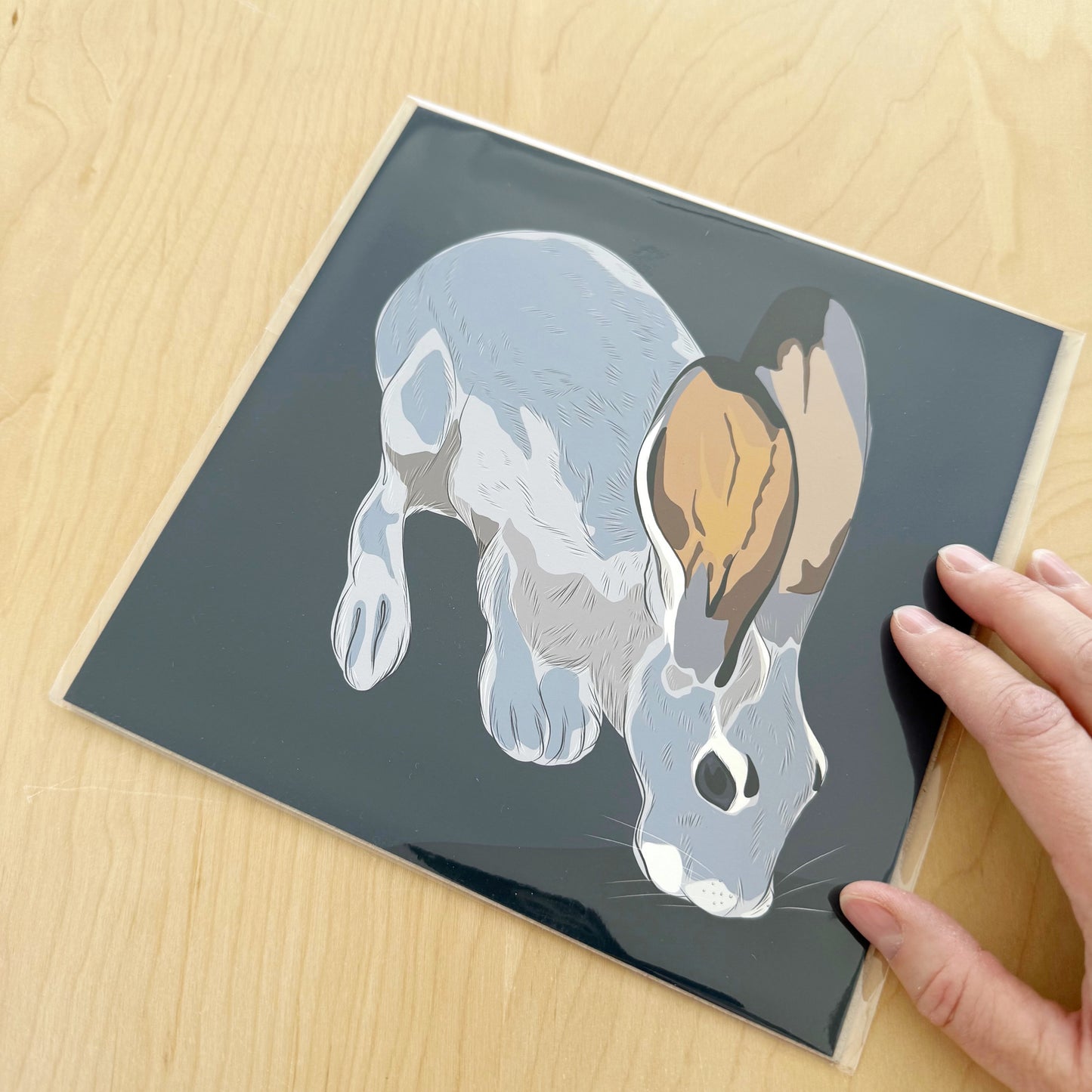 AE. Drinking Jackrabbit drawing 8” square Print on a navy blue background