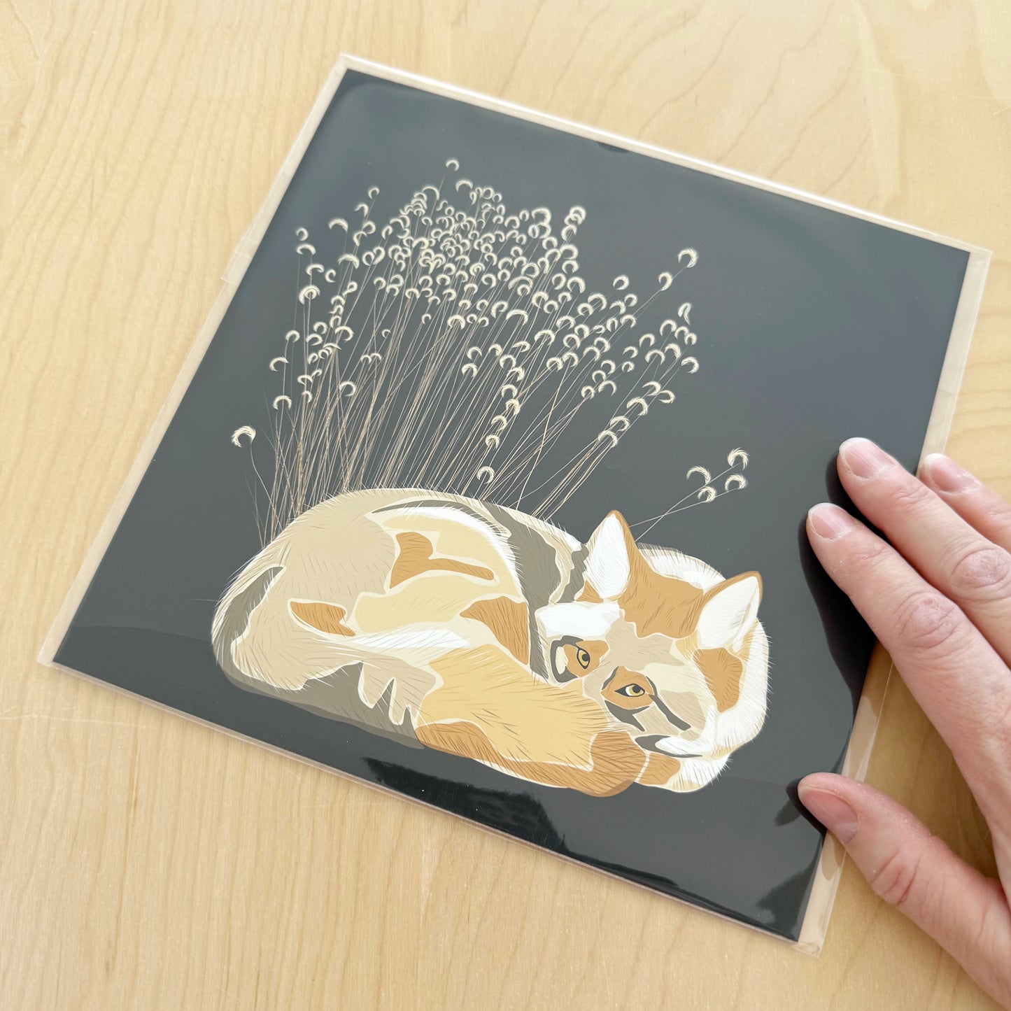 AC. Print of my Coyote drawing 8” square on an espresso brown background