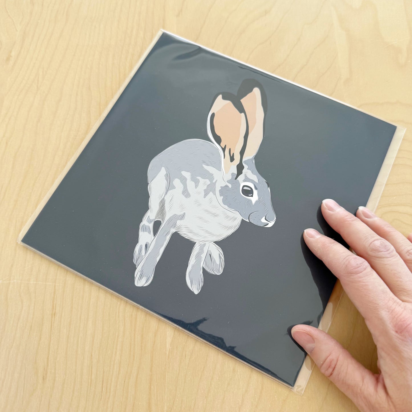 AE. Jackrabbit drawing 8” square Print on a navy blue background