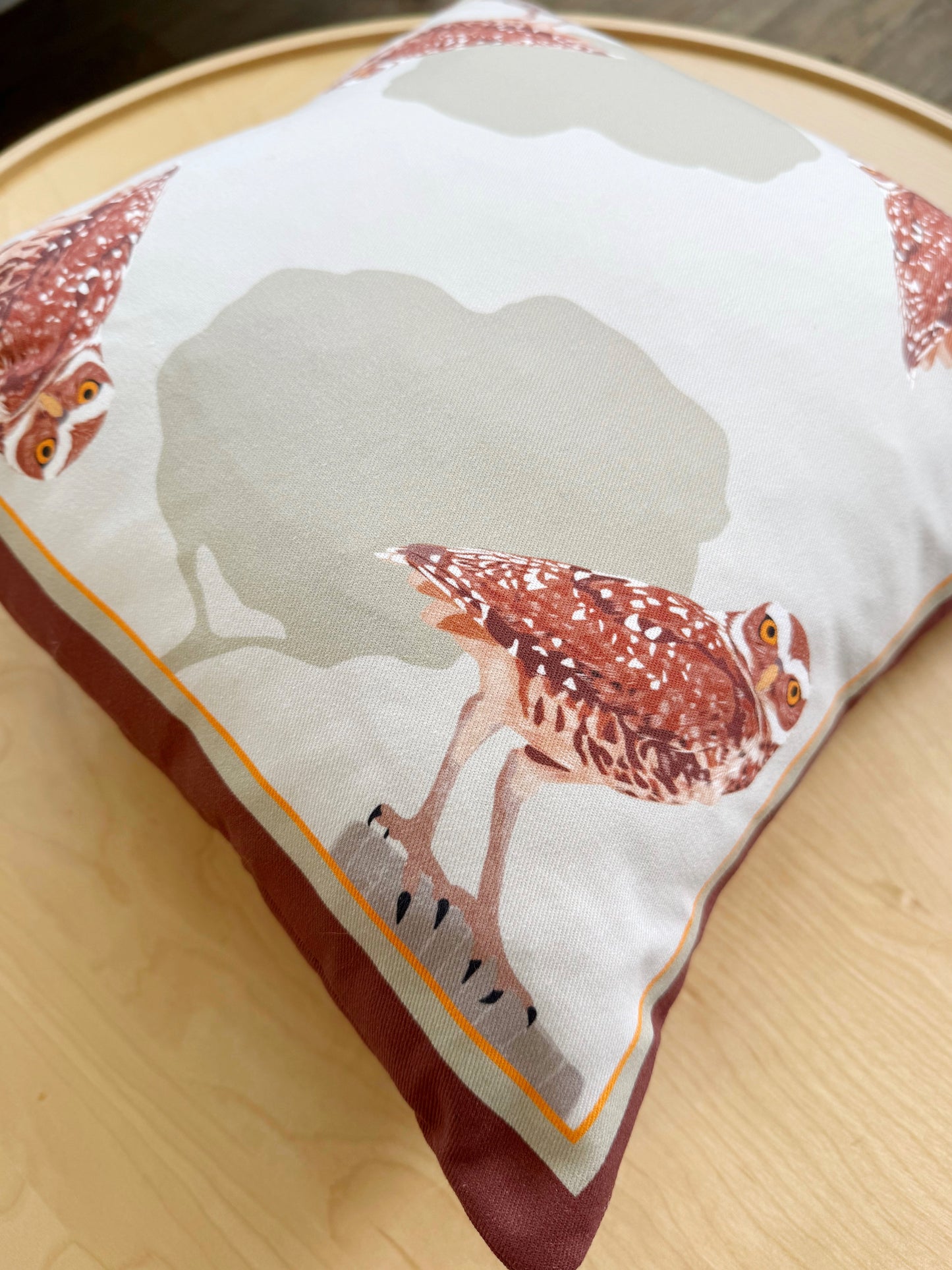 AA. Burrowing Owl 15” Throw Pillow