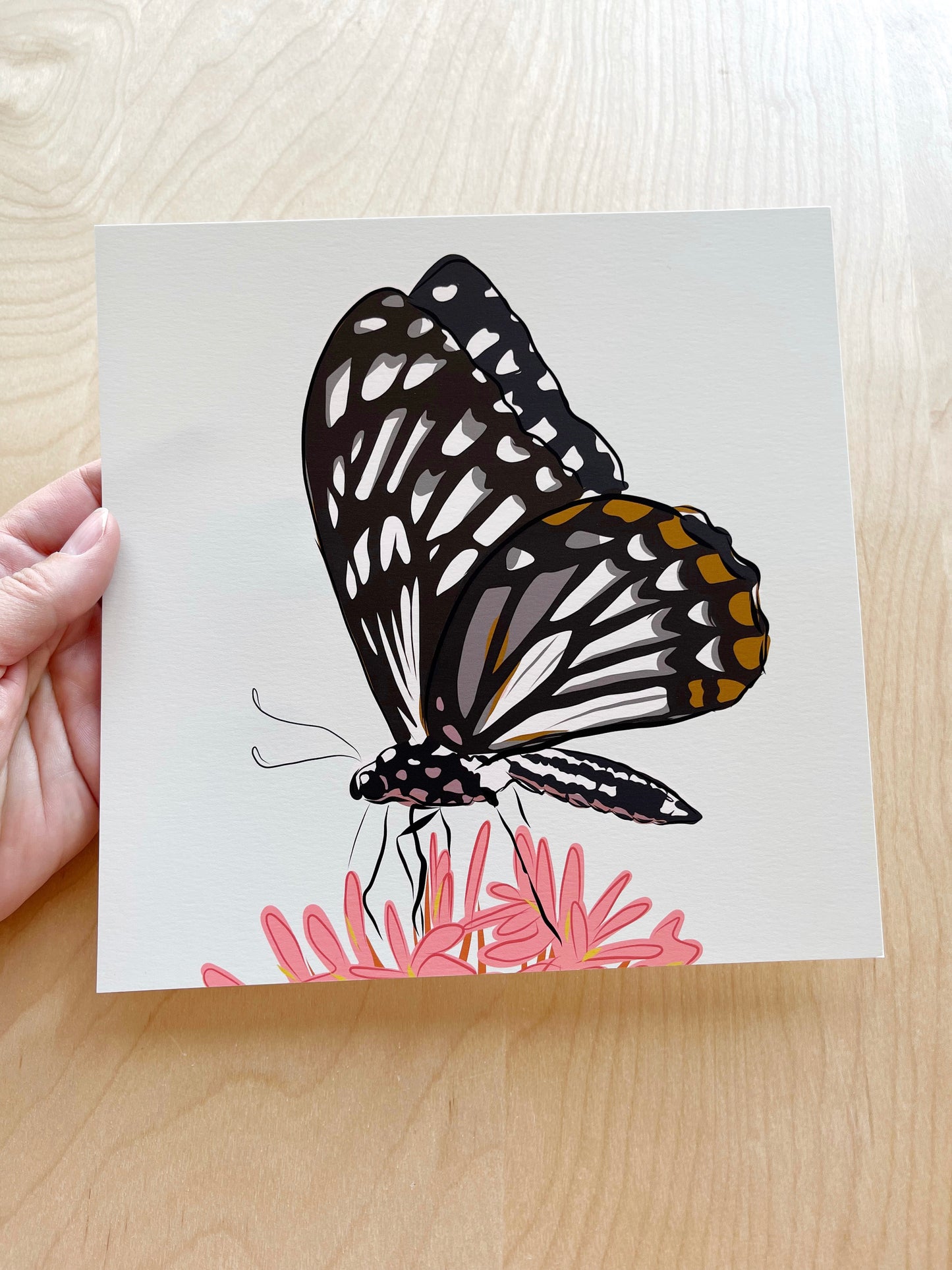 DC. 8x8” Butterfly Square Prints