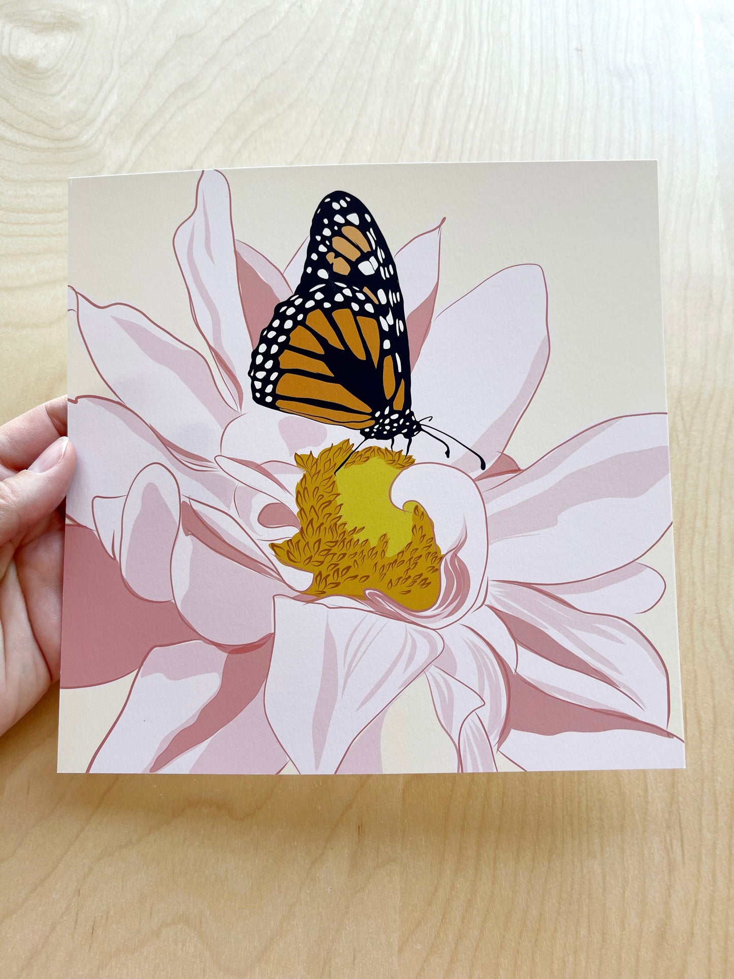 DC. 8x8” Butterfly Square Prints