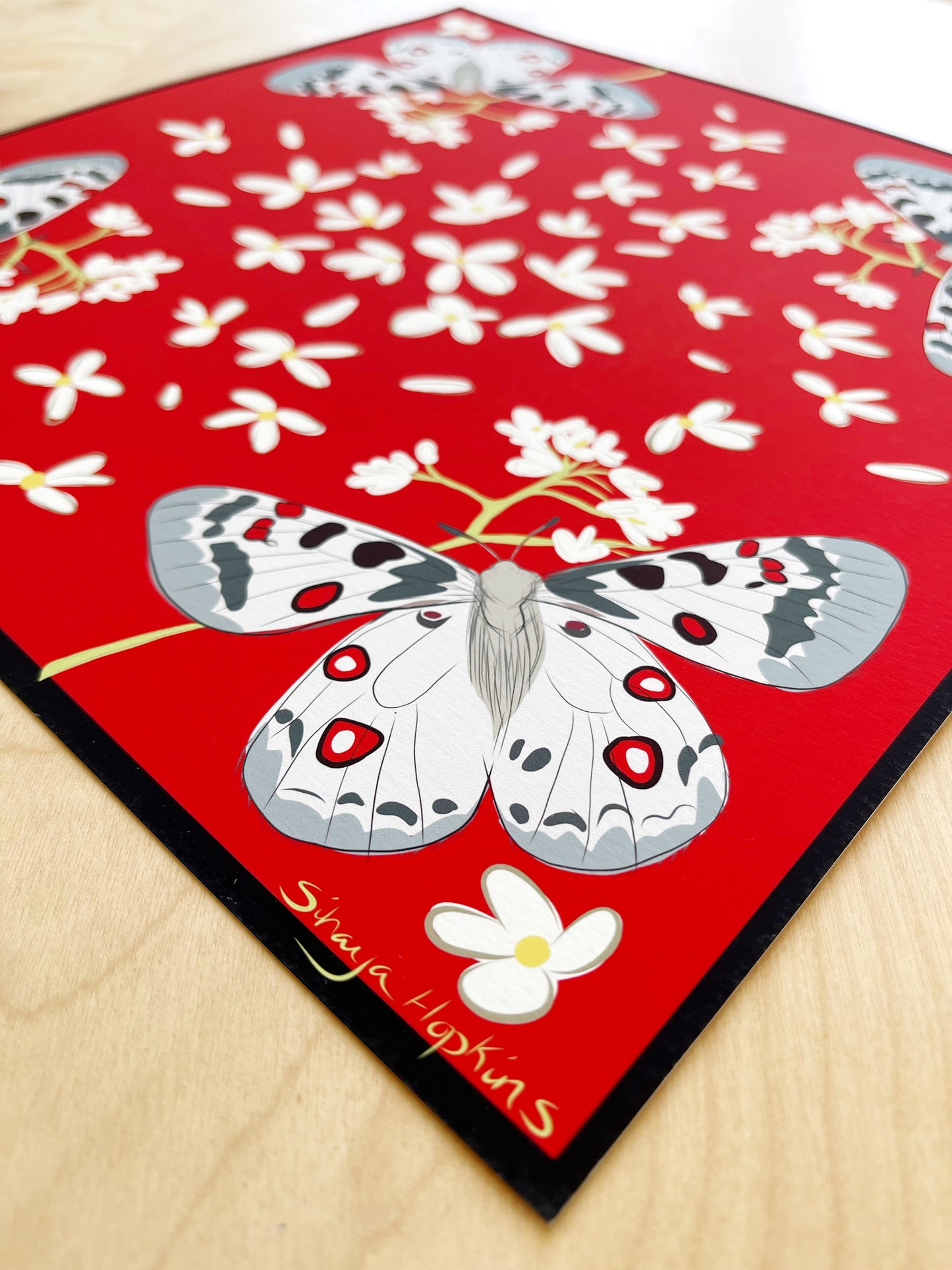AE. Gray Moths with White Flowers on Red Four Corner Repeat Print