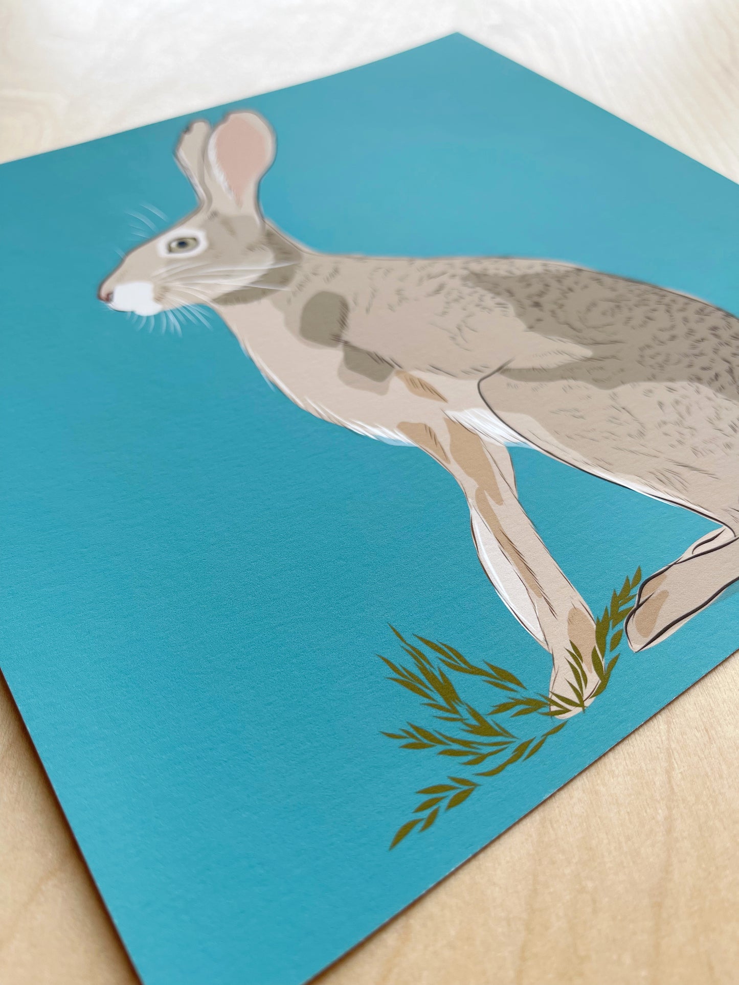 AB. Print of my Jackrabbit drawing 8” square turquoise background