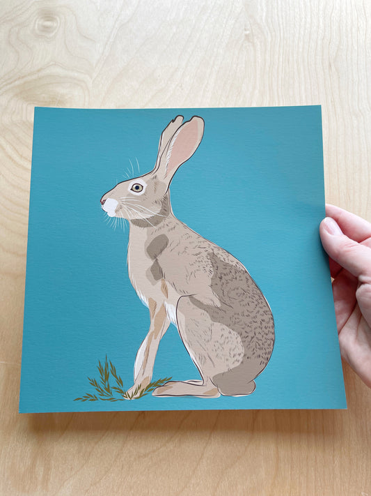 AB. Print of my Jackrabbit drawing 8” square turquoise background