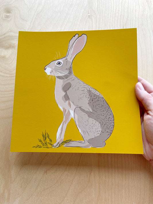 AB. Print of my Jackrabbit drawing 8” square yellow ocher background