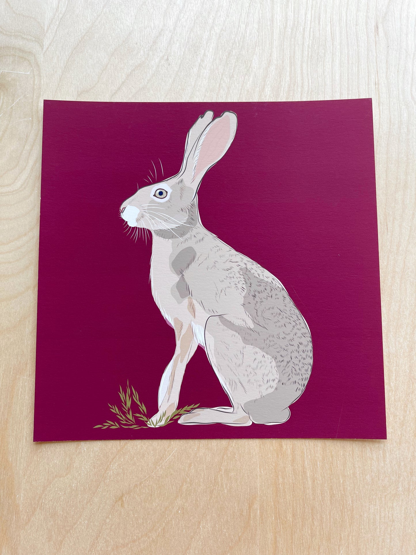 AB. Print of my Jackrabbit drawing 8” square Beetroot background