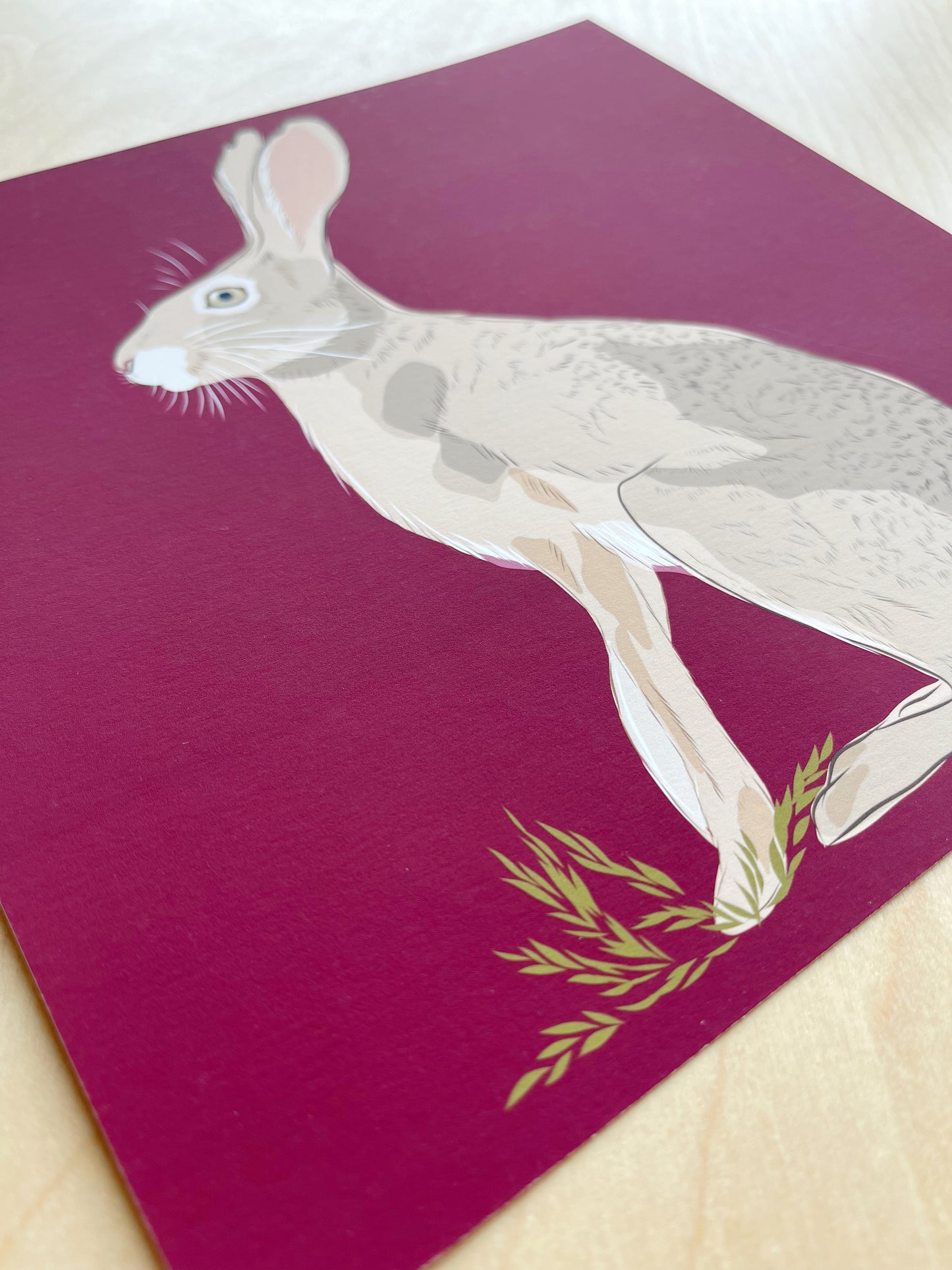 AB. Print of my Jackrabbit drawing 8” square Beetroot background