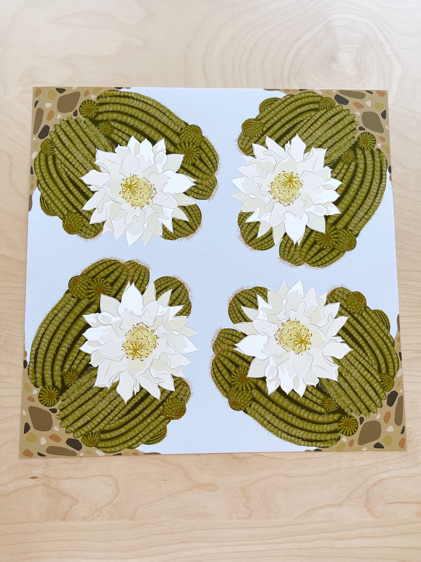 CP. Print of my Ivory Blooming Cactus design 12” x 12”