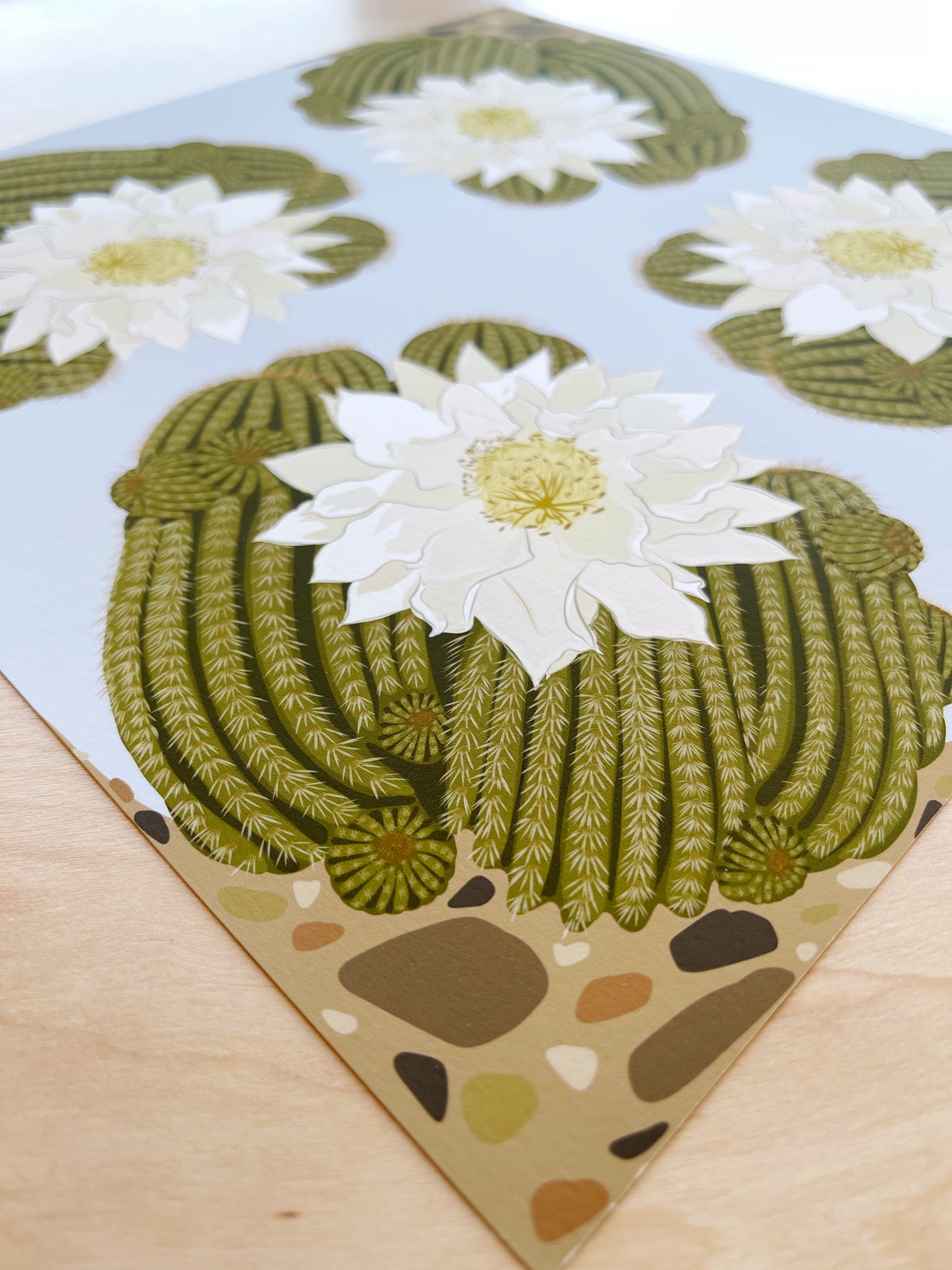 CP. Print of my Ivory Blooming Cactus design 12” x 12”