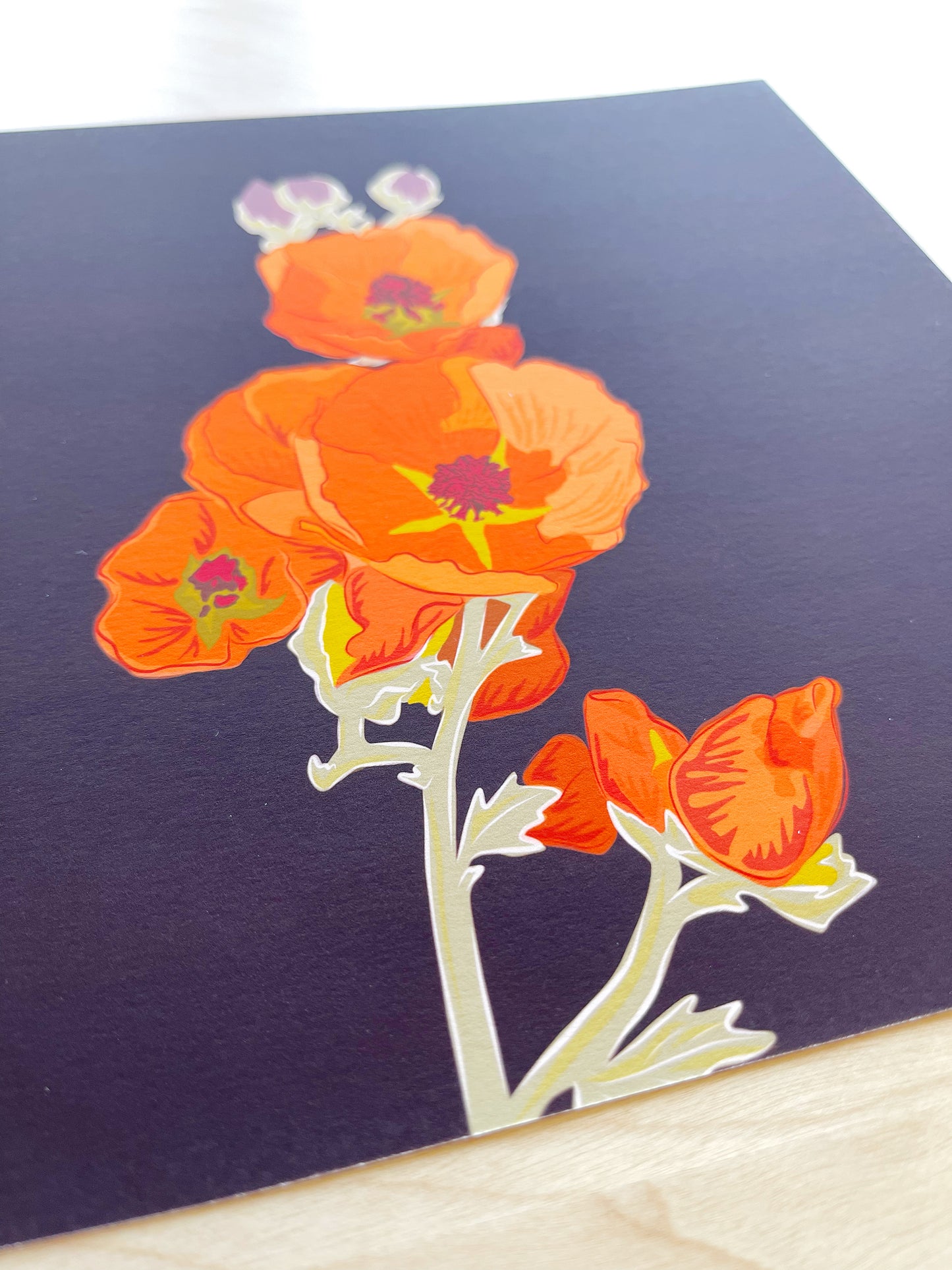 C. Print of my Apricot Globe Mallow drawing 8” square with a dark chocolate background