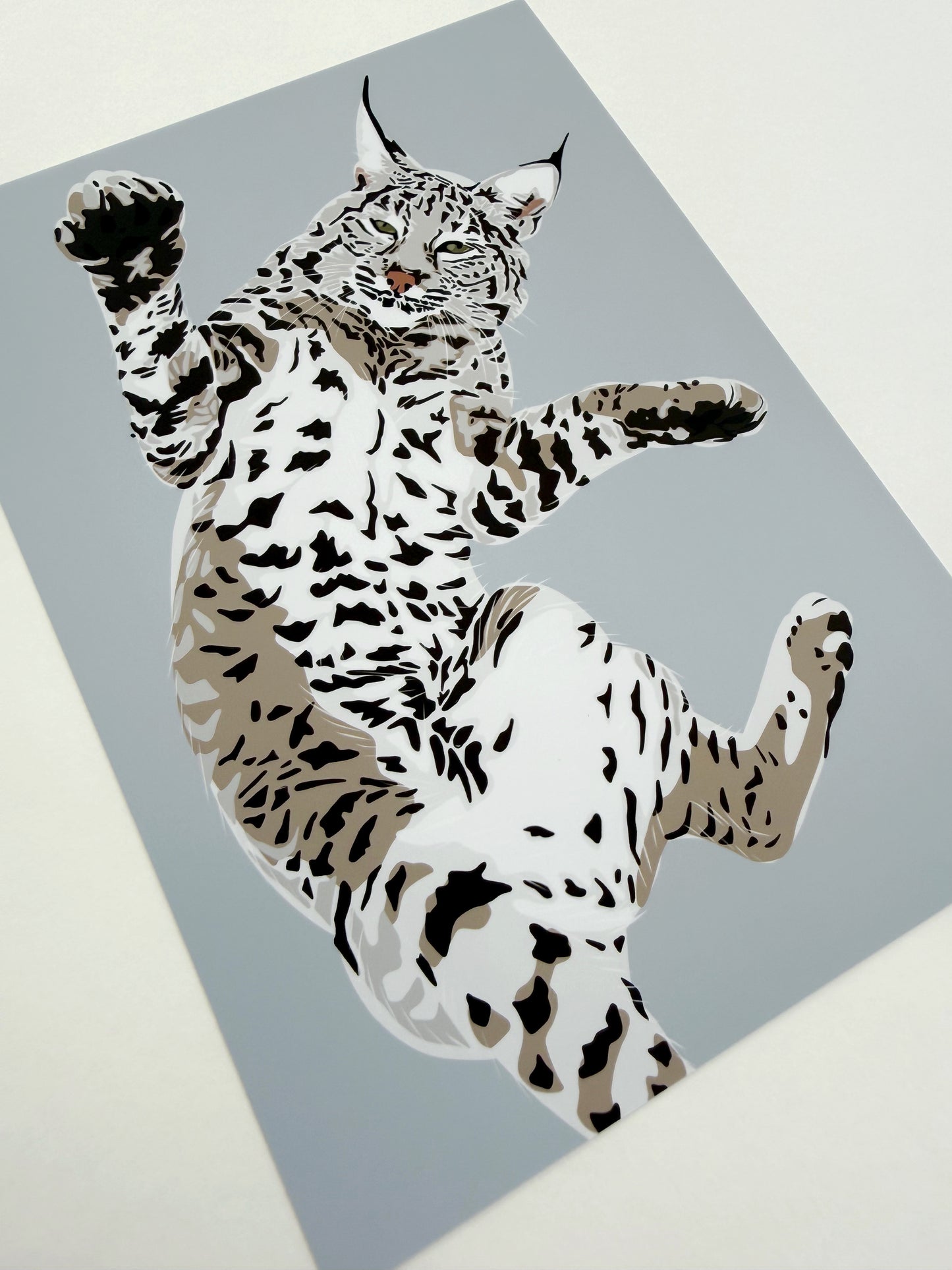 A. Playful Bobcat drawing 8 x 12” Print on a light gray background