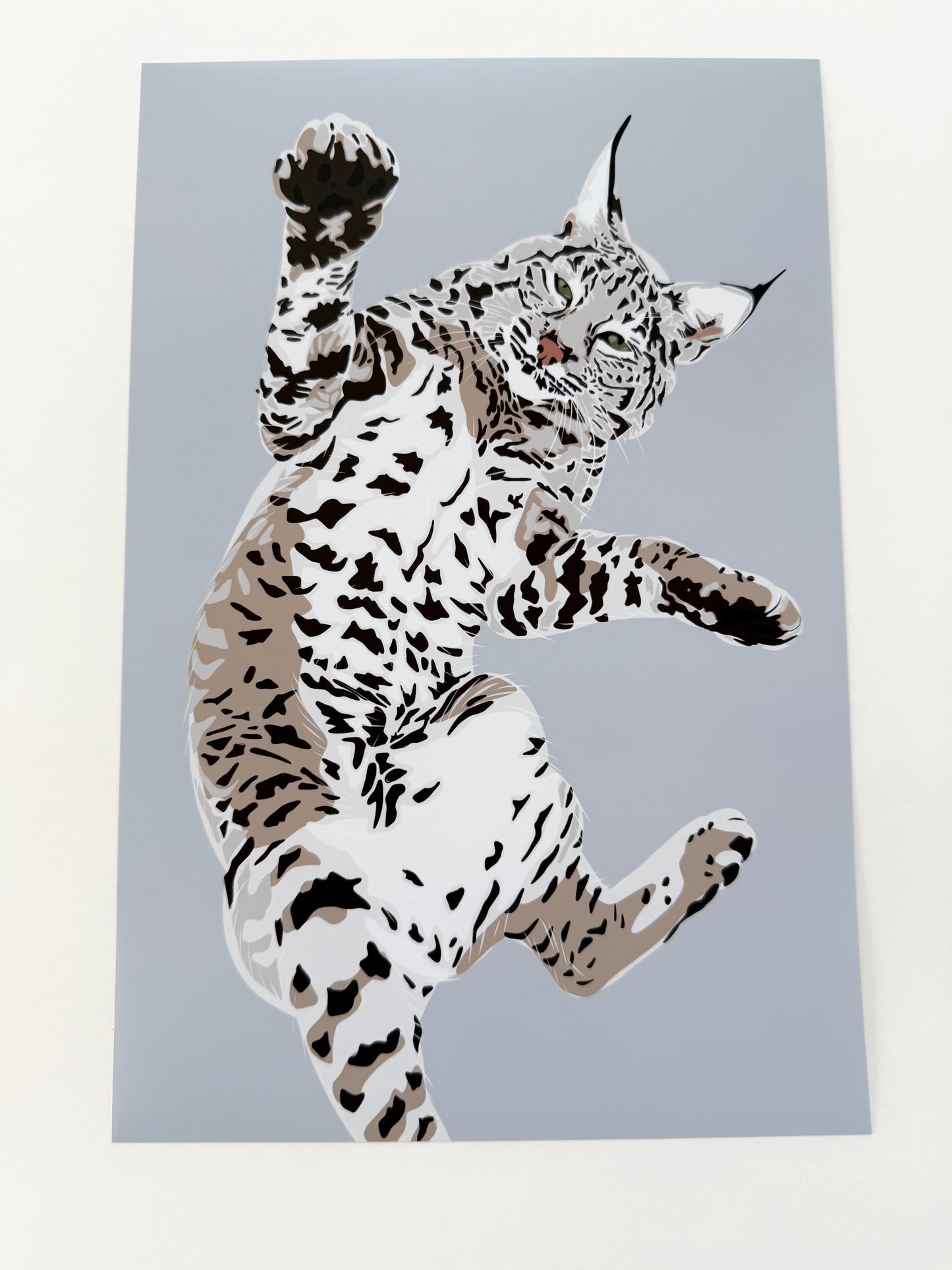 A. Playful Bobcat drawing 8 x 12” Print on a light gray background