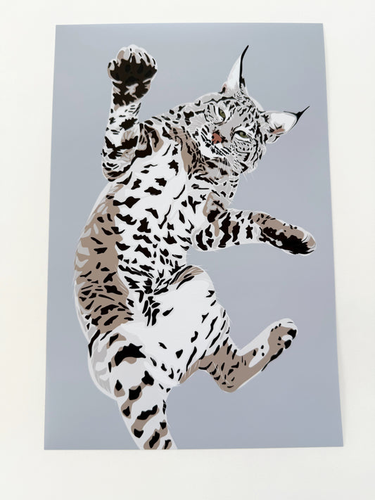 A. Playful Bobcat drawing 8 x 12” Print on a light gray background