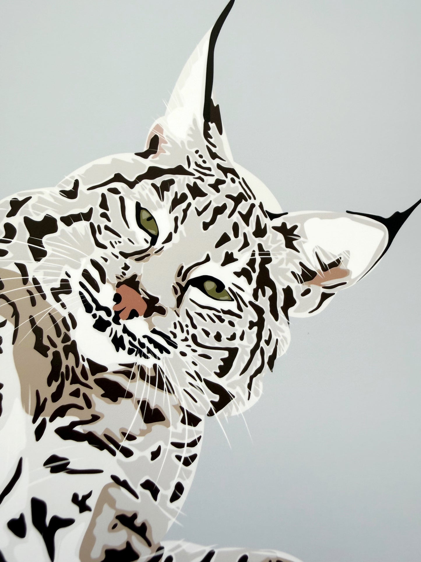 A. Playful Bobcat drawing 8 x 12” Print on a light gray background