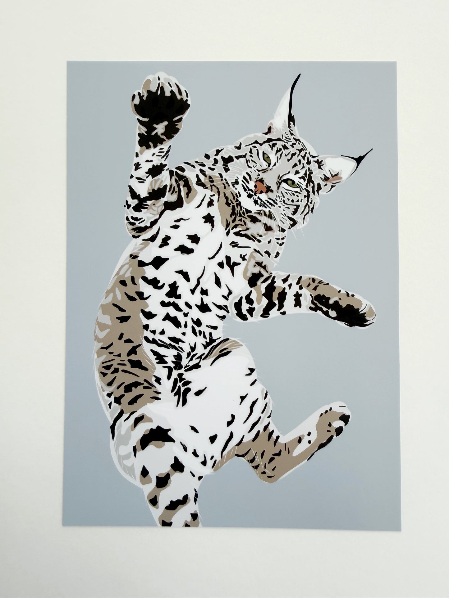 A. Playful Bobcat drawing 5x7” Print on a light gray background