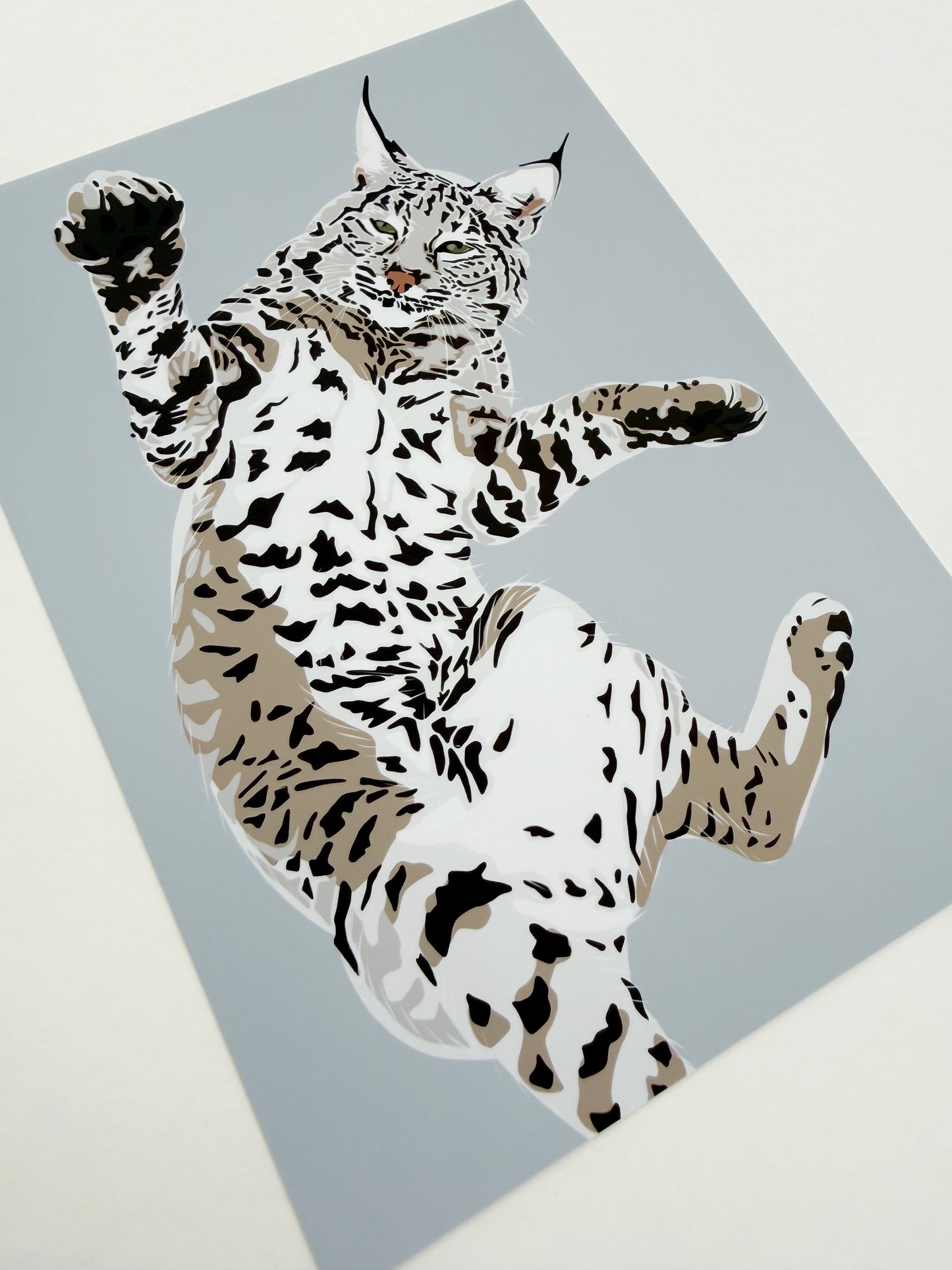 A. Playful Bobcat drawing 5x7” Print on a light gray background