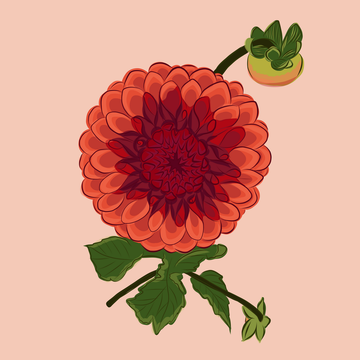 AE. Garnet Dahlia Print