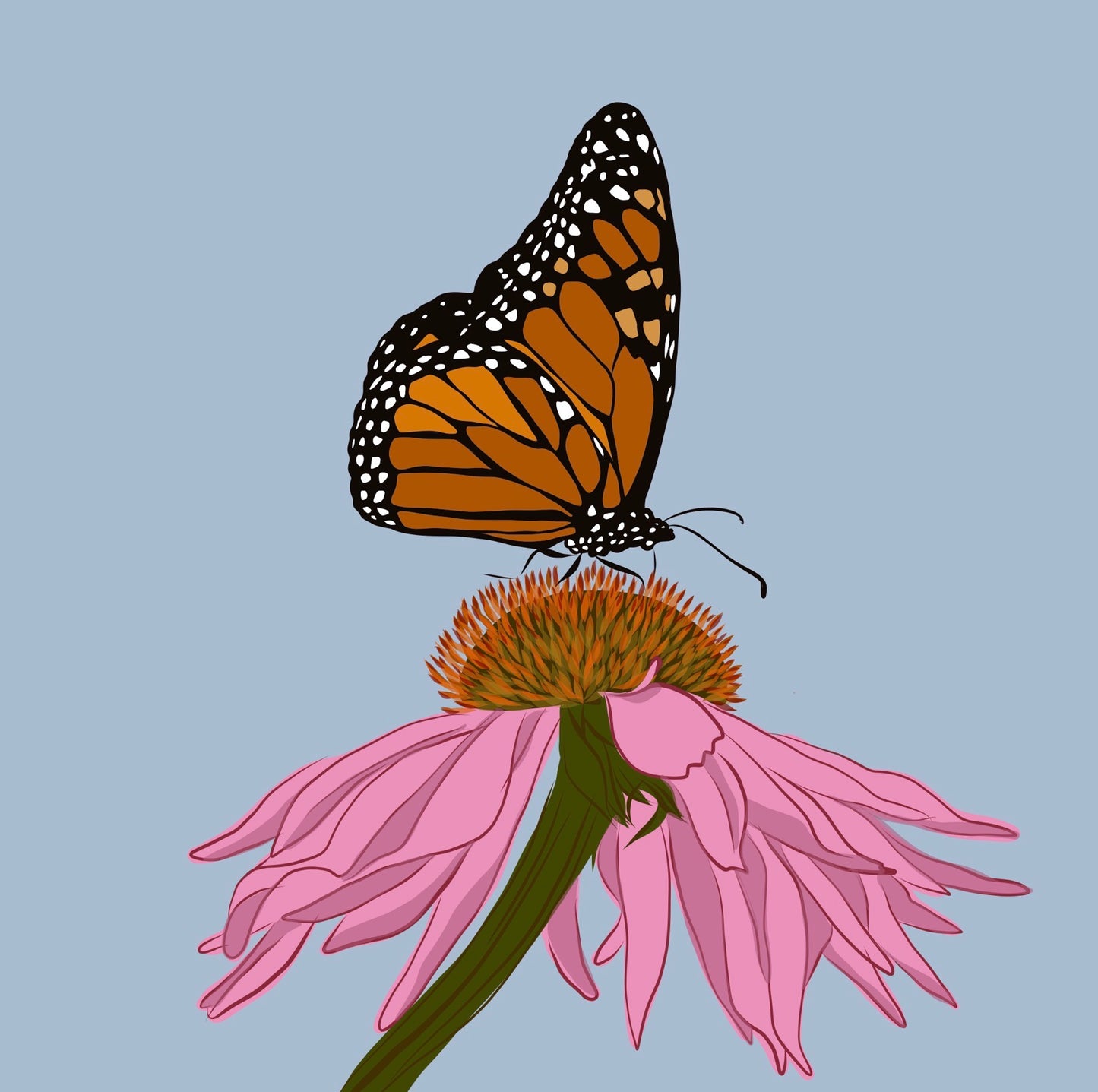 A. Rainbow, Flowers, Hummingbird & Monarch group of four prints