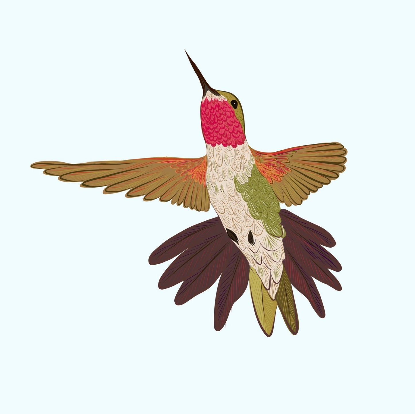 A. Rainbow, Flowers, Hummingbird & Monarch group of four prints