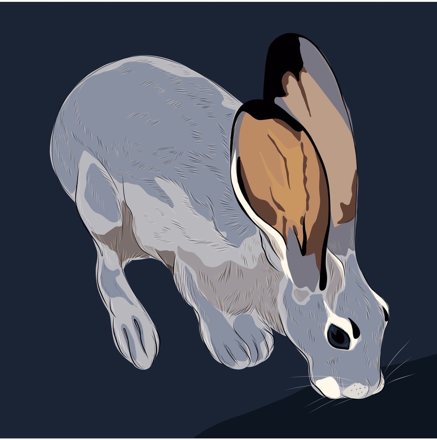 AE. Large 20”x20” Print Drinking Jackrabbit on a navy blue