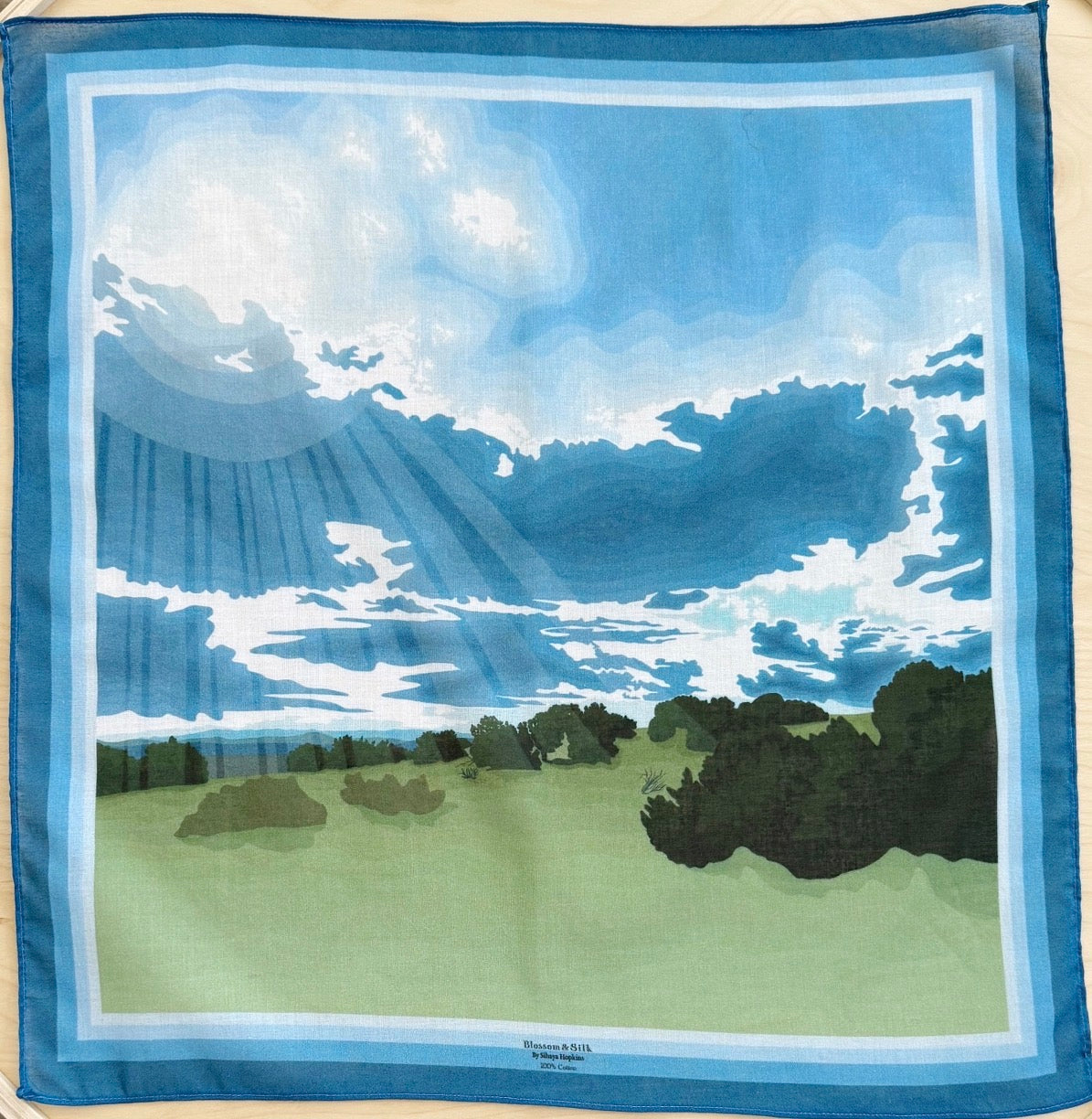 S. Made to Order Mulayam Cotton Scarves