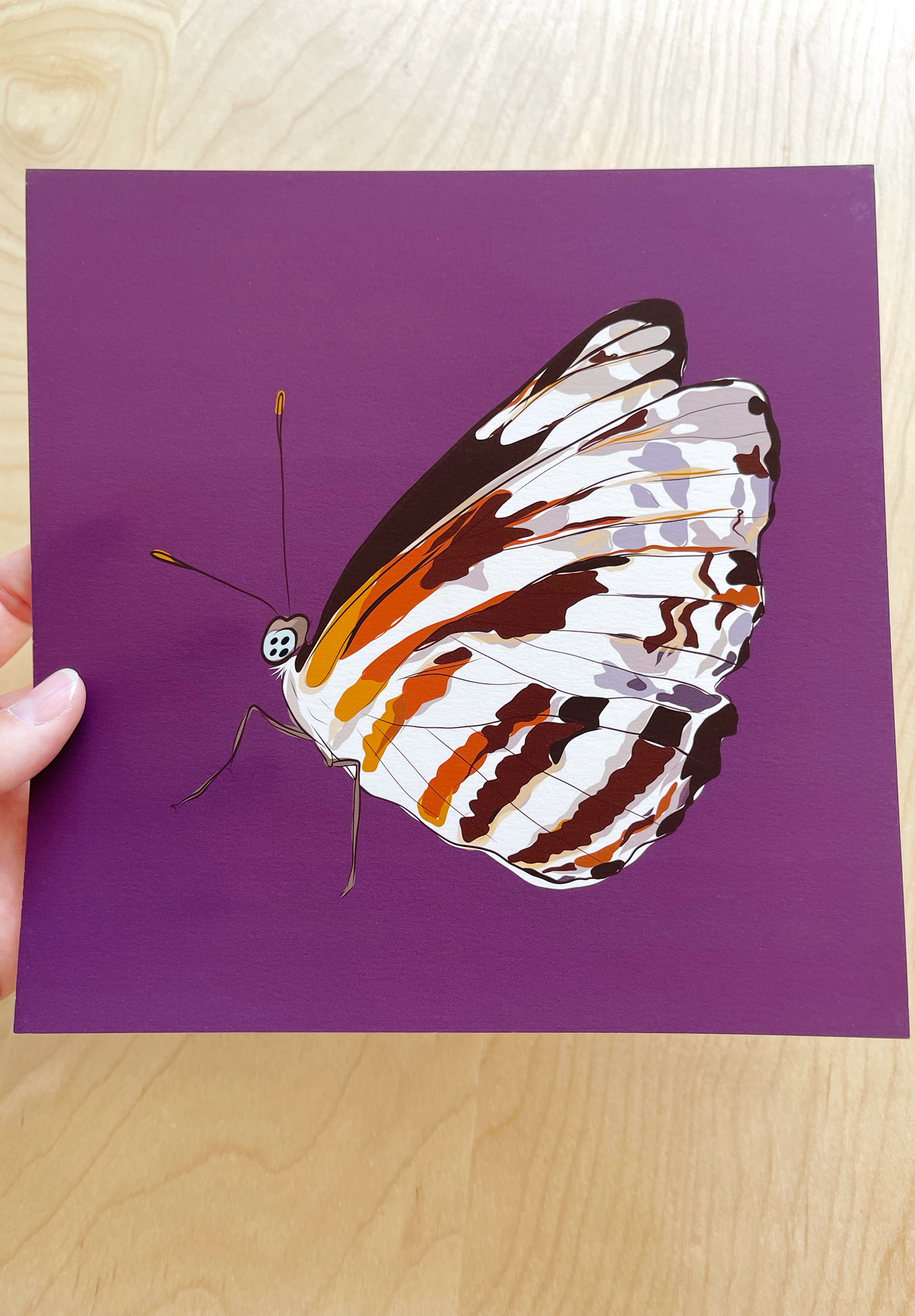AE. Lavender, Red & Amber Butterfly Print