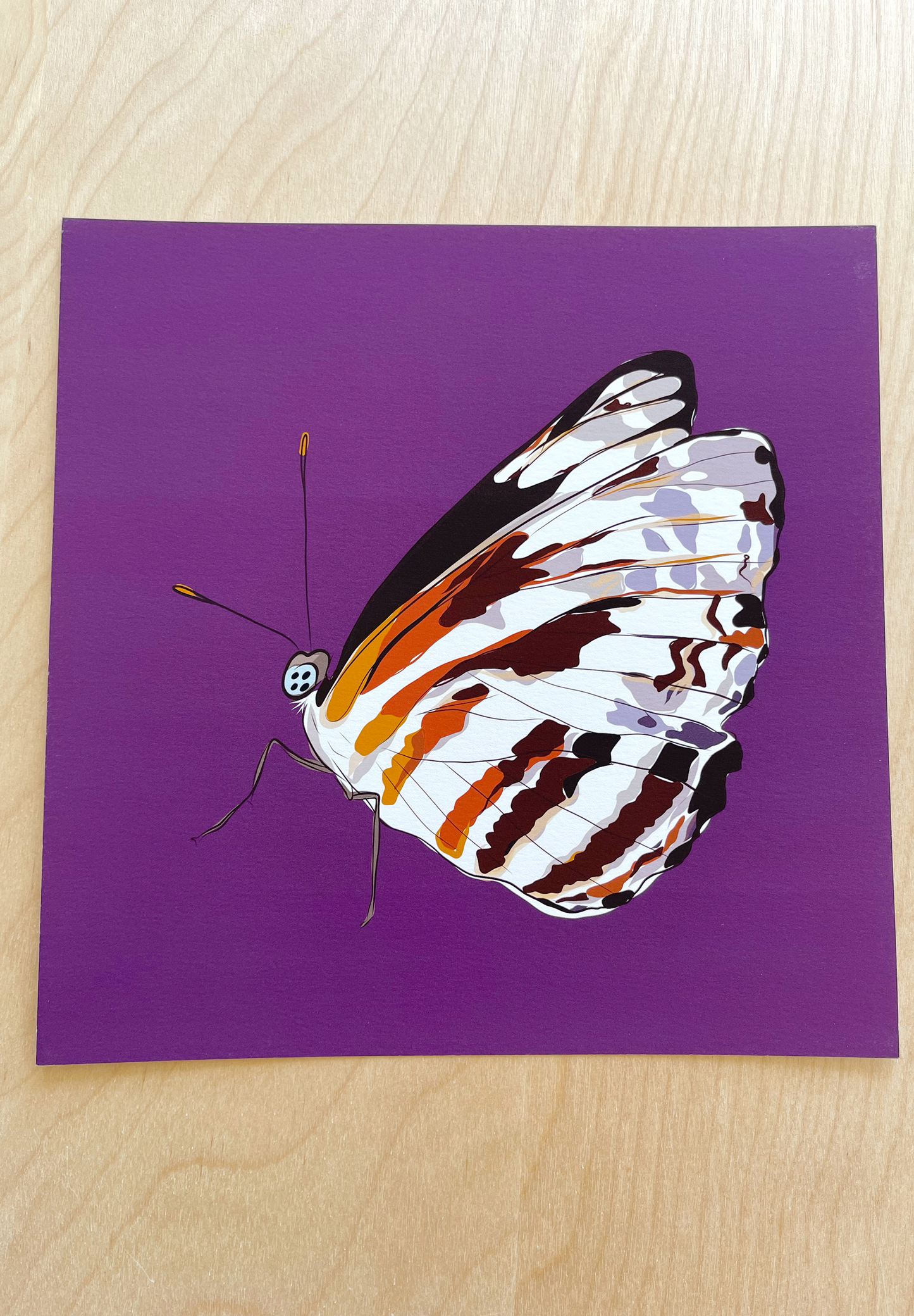 AE. Lavender, Red & Amber Butterfly Print