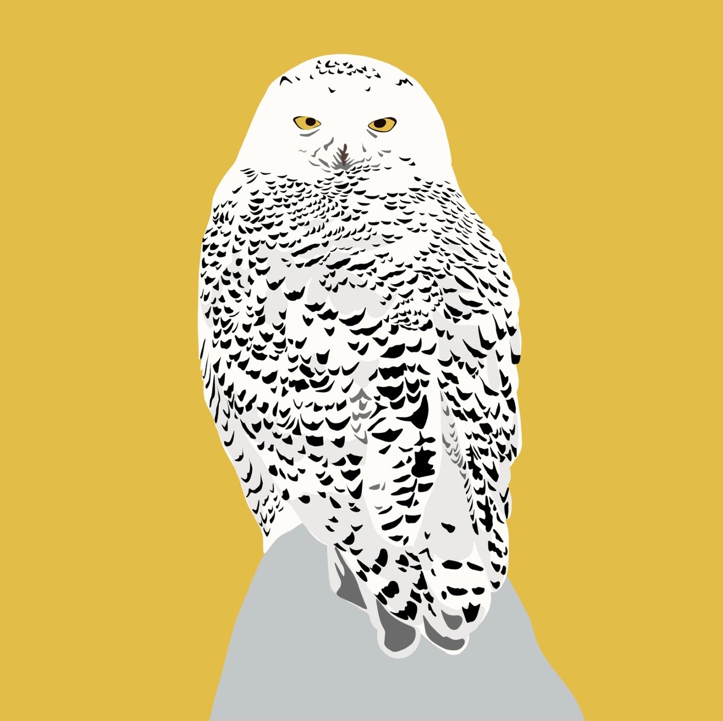 AF. Snowy Owl drawing Print on a yellow background