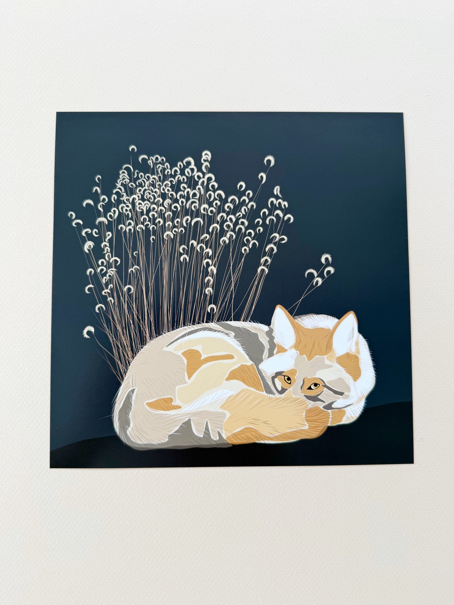 AG. Coyote with grasses print on an espresso brown background