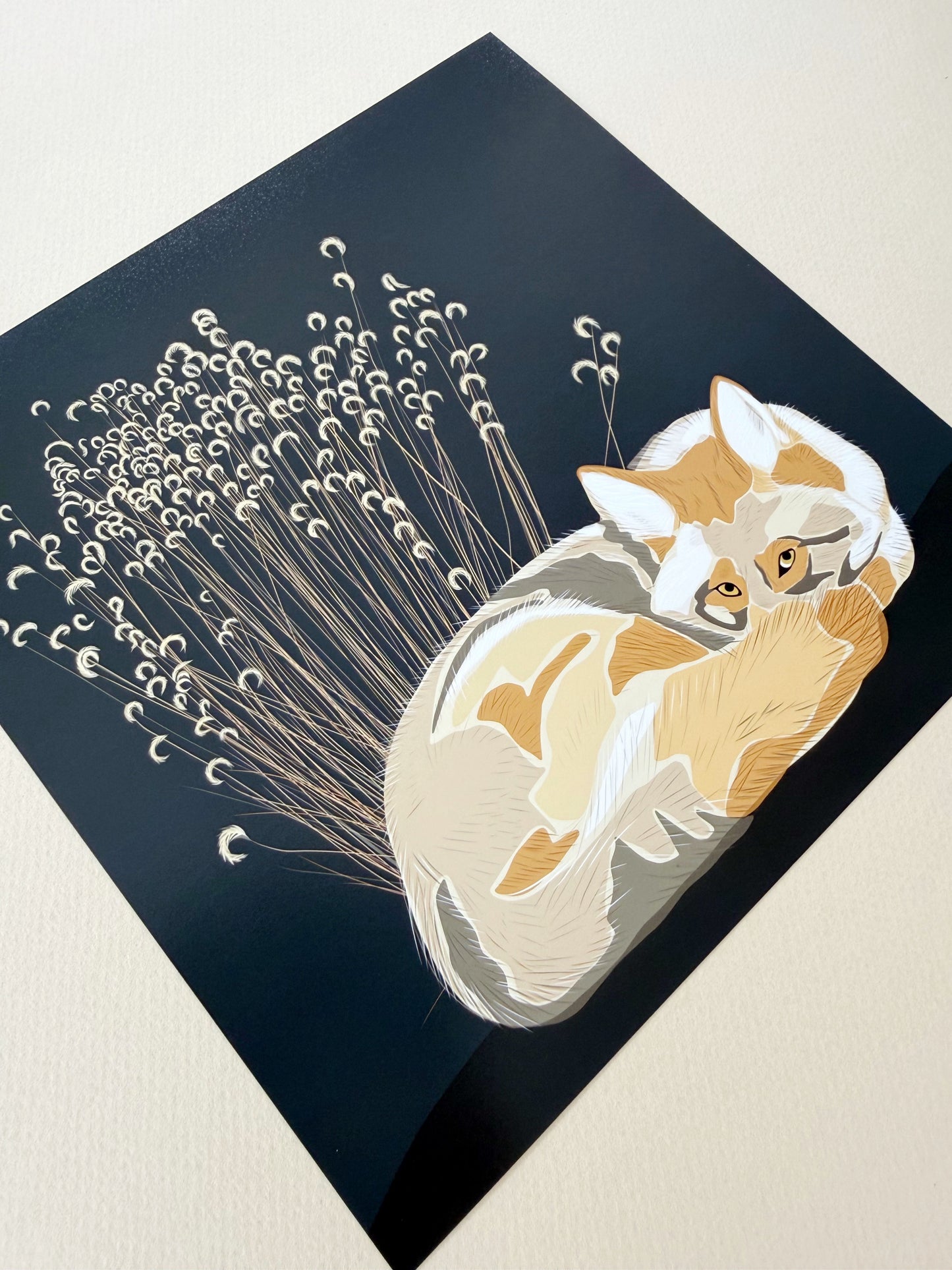 AG. Coyote with grasses print on an espresso brown background