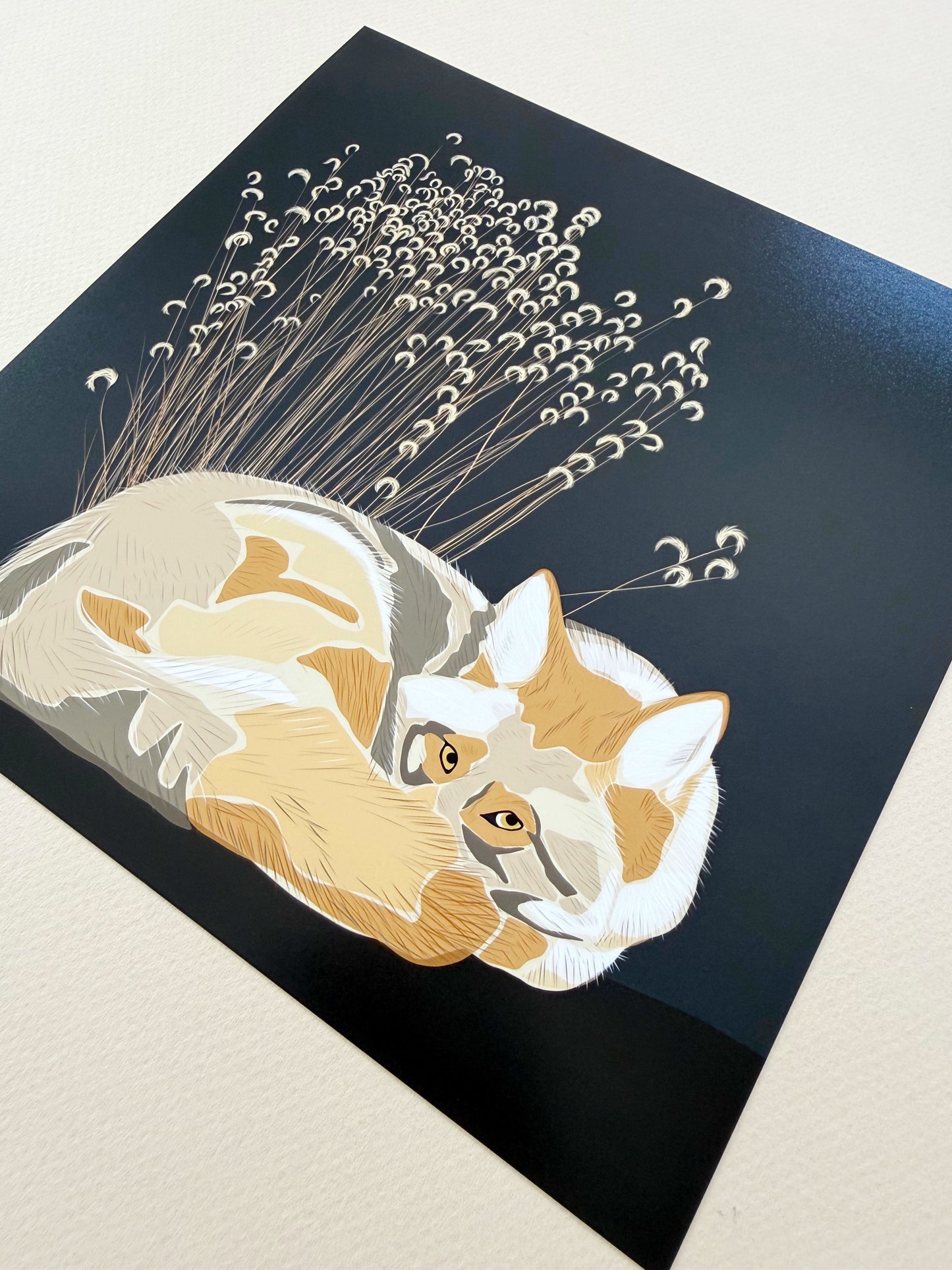 AG. Coyote with grasses print on an espresso brown background