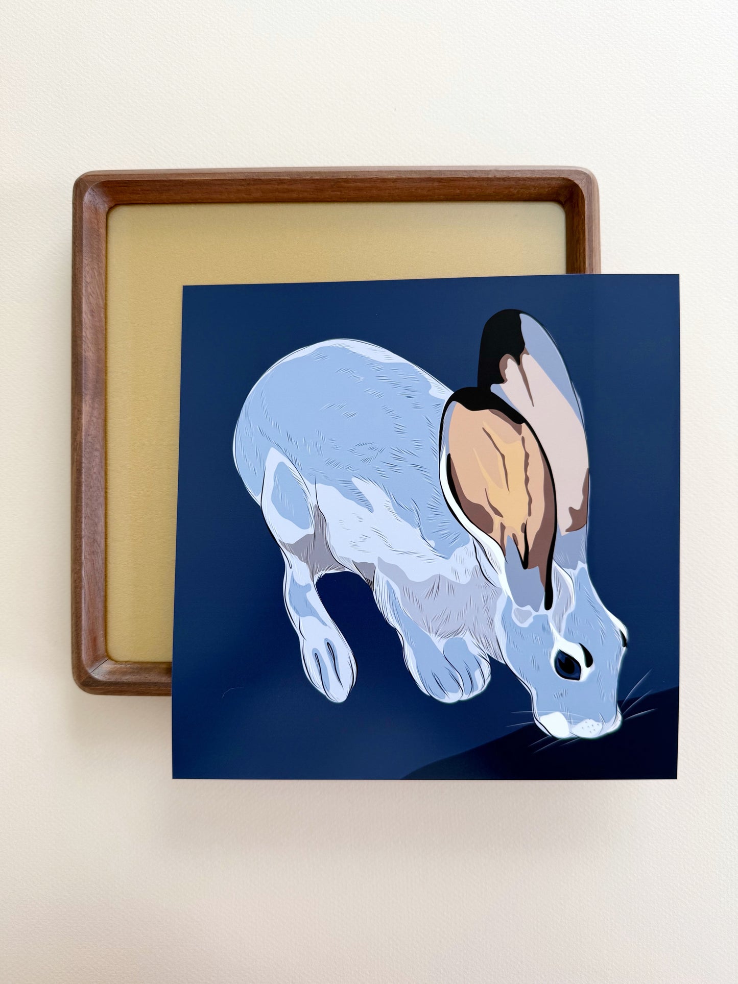 A. Jackrabbit drinking Print on a navy blue background