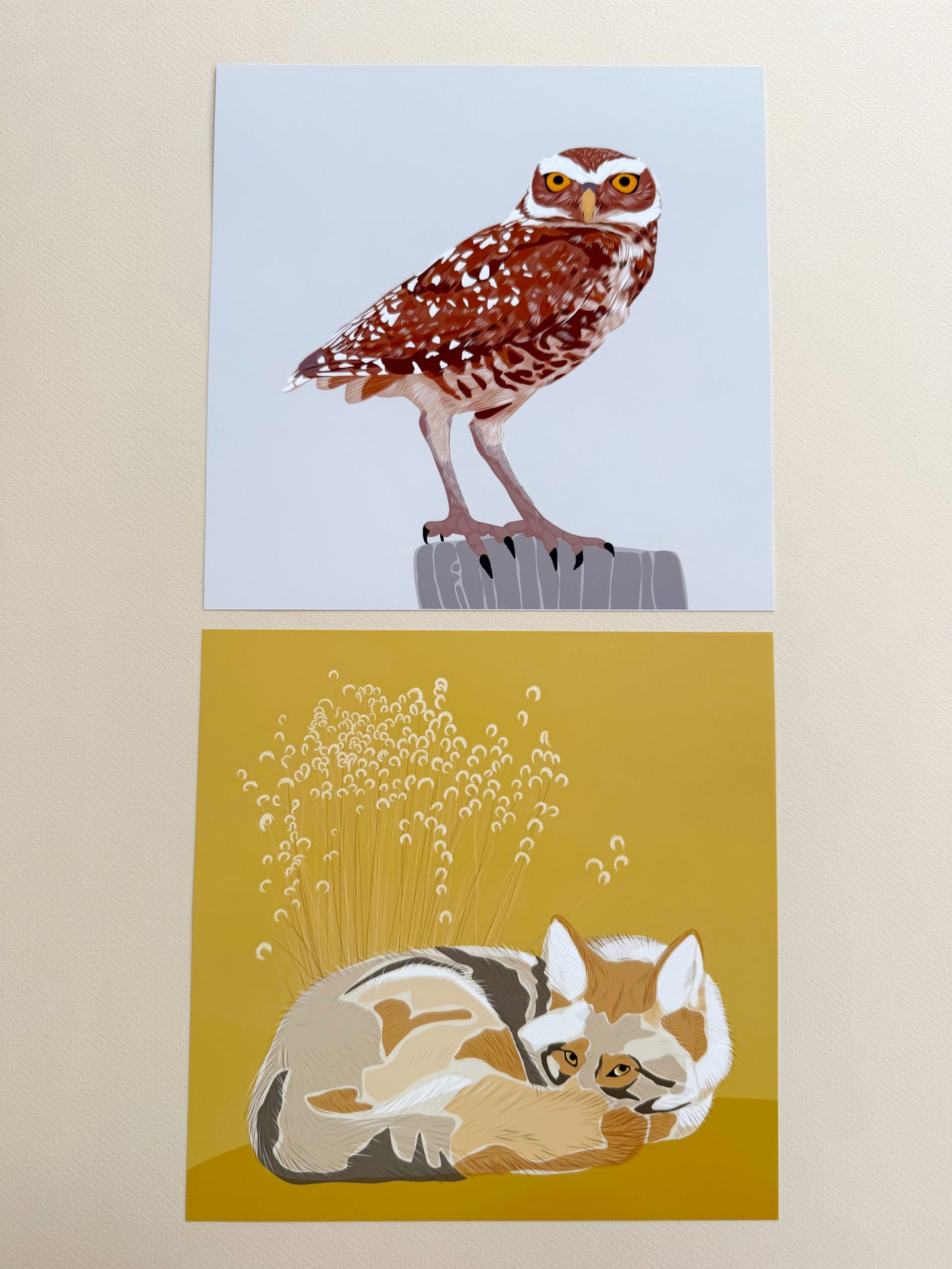 AB. Burrowing Owl Print