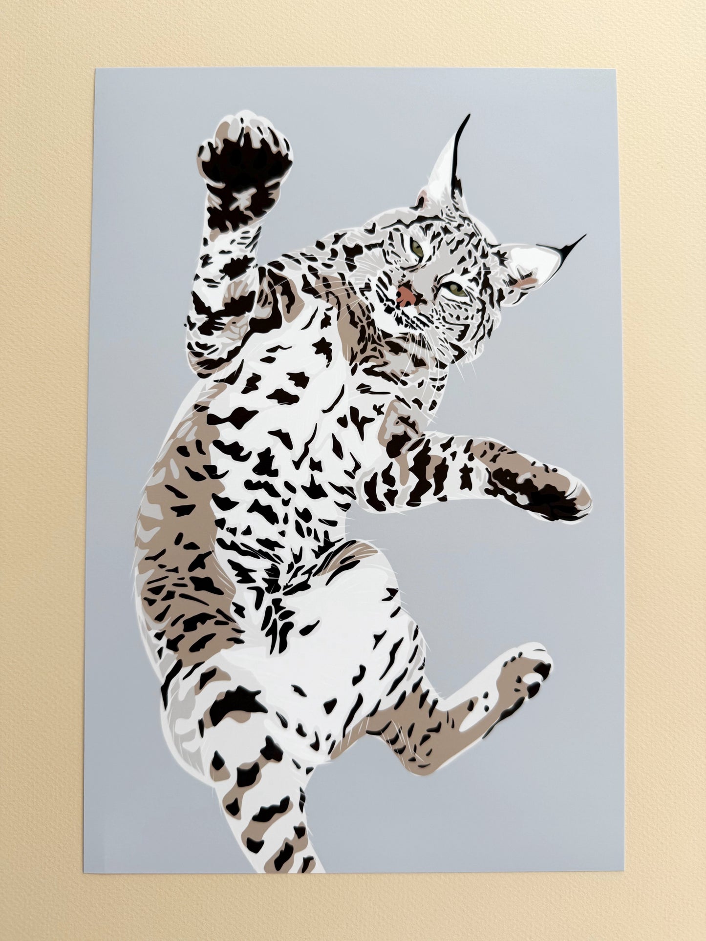 AF. Playful Bobcat drawing 8 x 12” Print on a light gray background