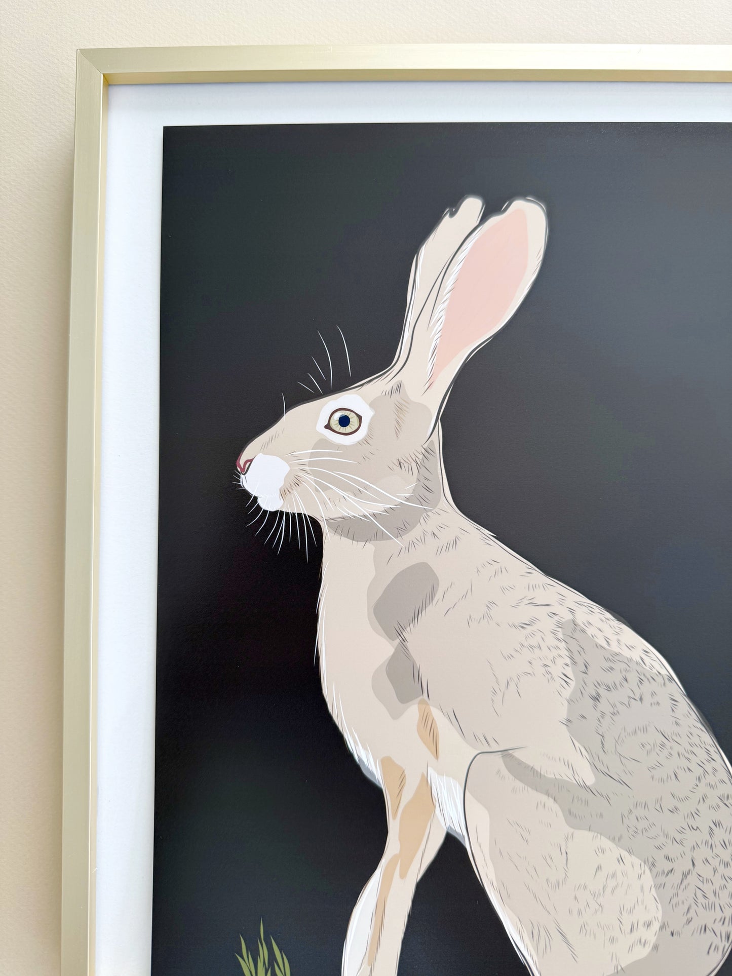 AE. Jackrabbit on Dark Chocolate Brown Background Print