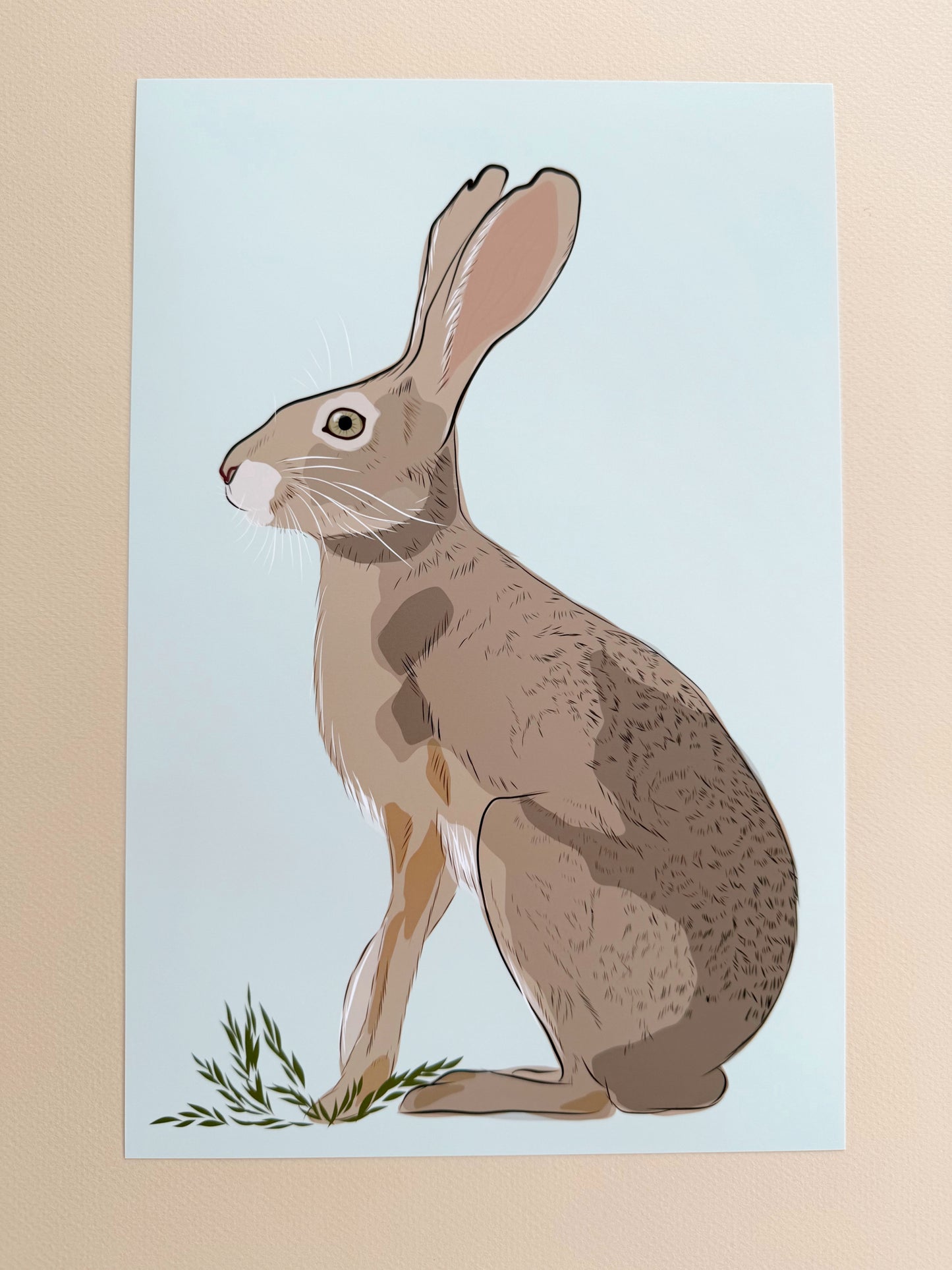 AE. Jackrabbit on Light Robin Egg Blue Background Print