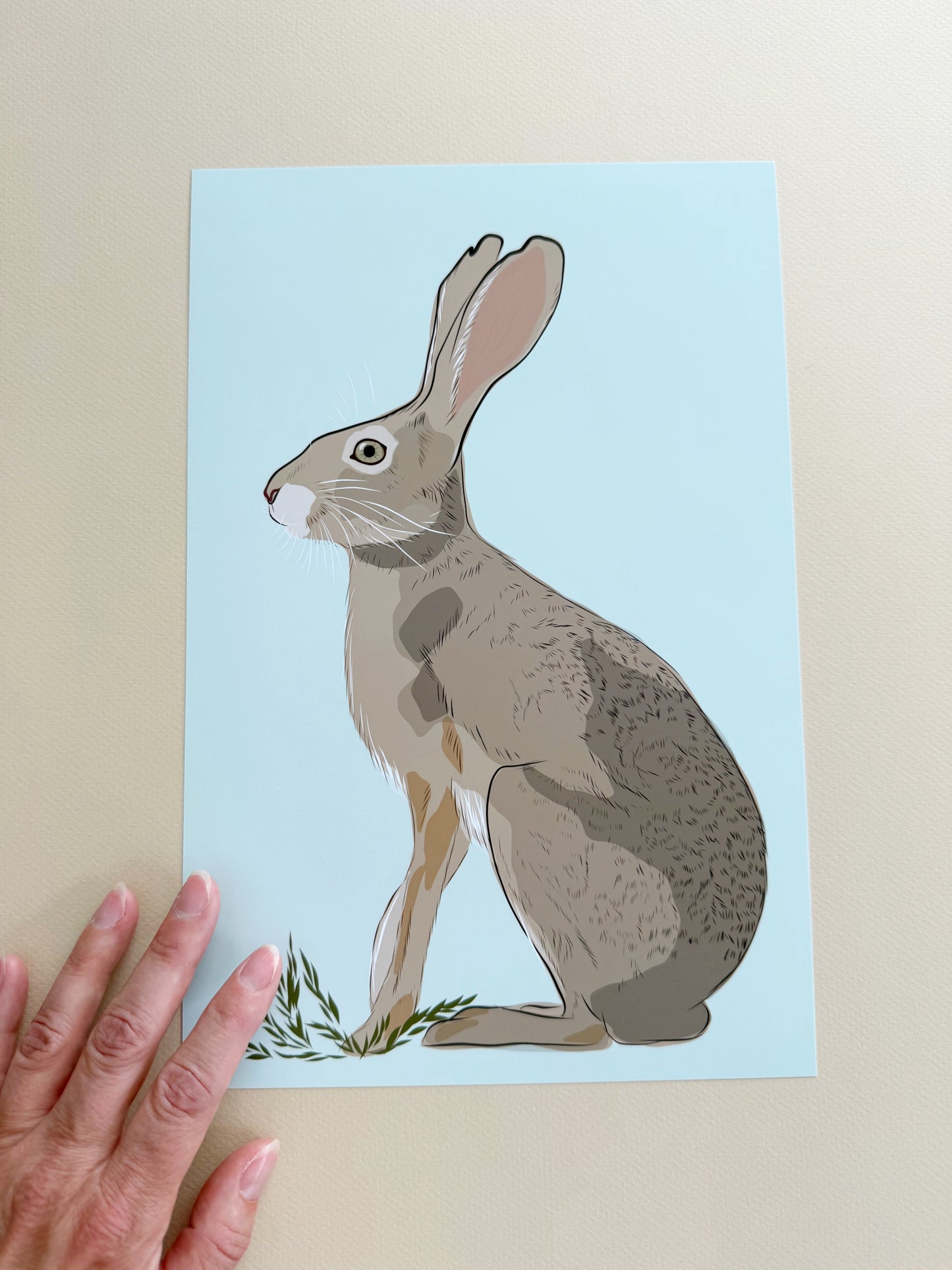AE. Jackrabbit on Light Robin Egg Blue Background Print