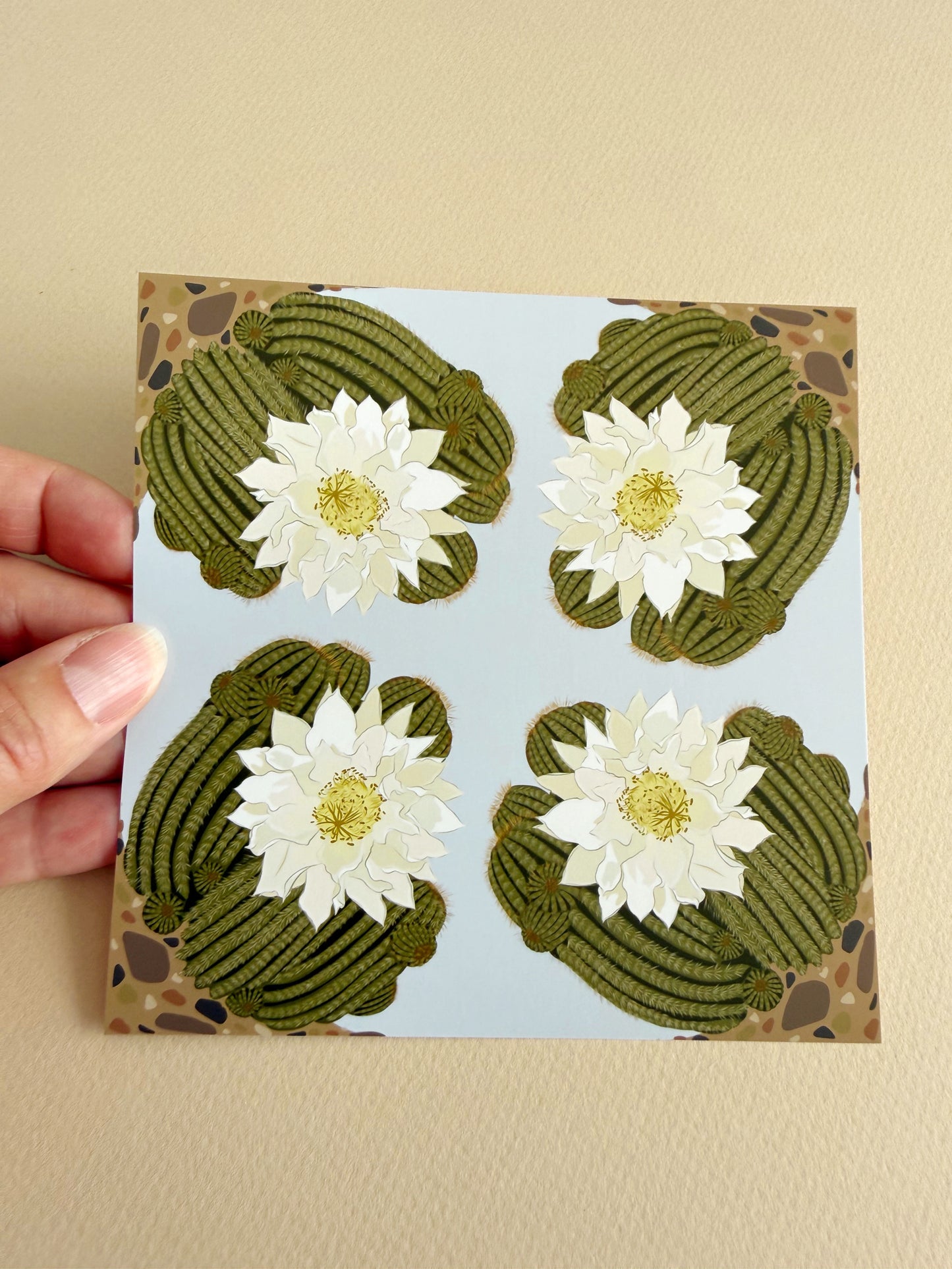 AJ. Ivory Blooming Cactus four corner repeat print