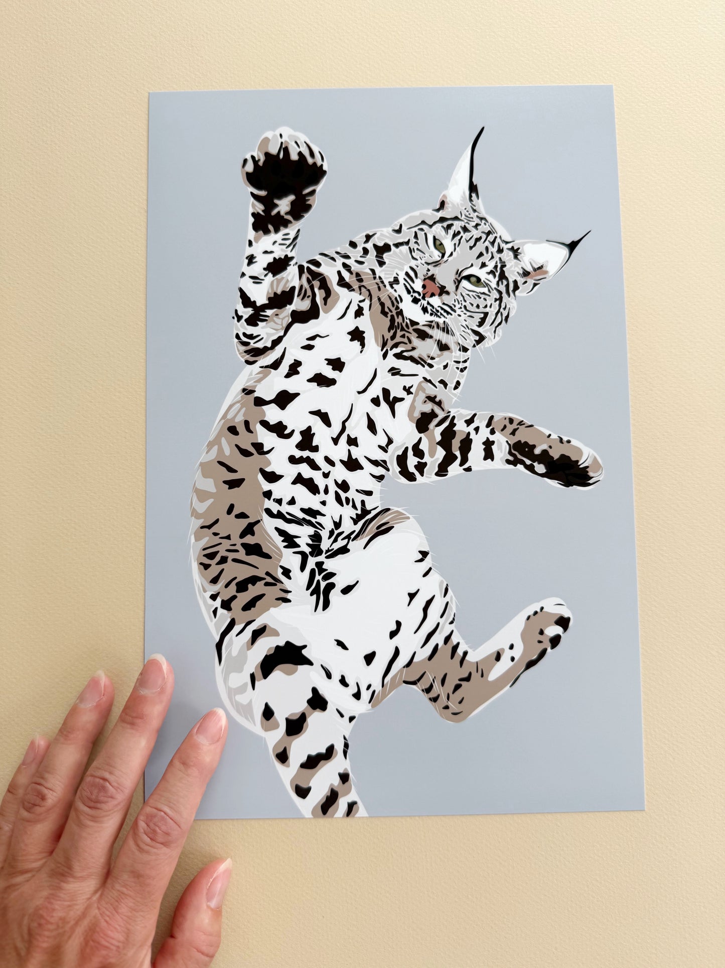 AF. Playful Bobcat drawing 8 x 12” Print on a light gray background